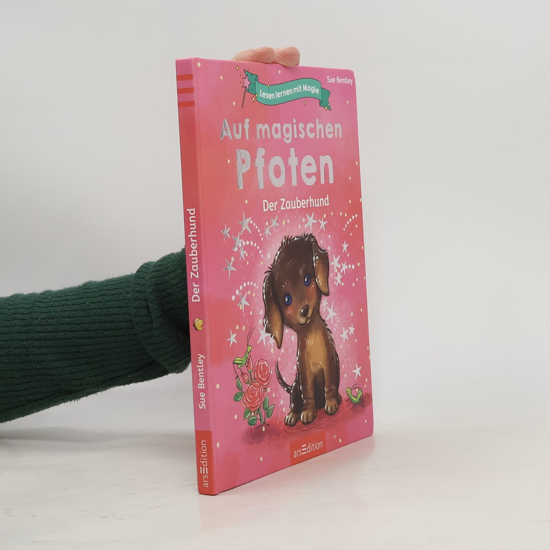 Sue Bentley Lesen lernen mit Magie: Auf magischen Pfoten