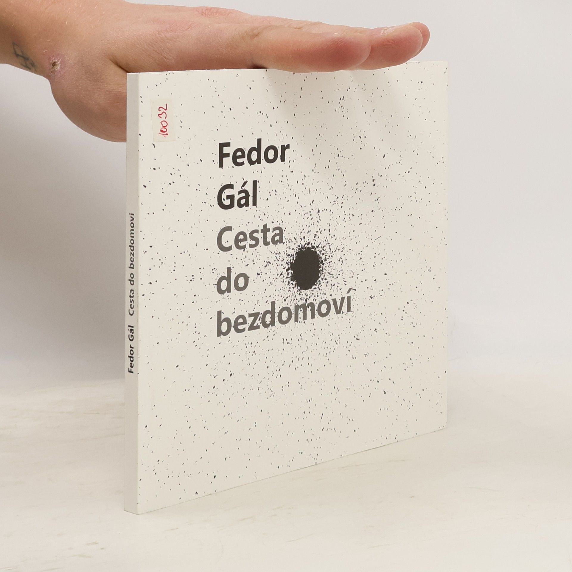 Fedor Gál Cesta do bezdomoví