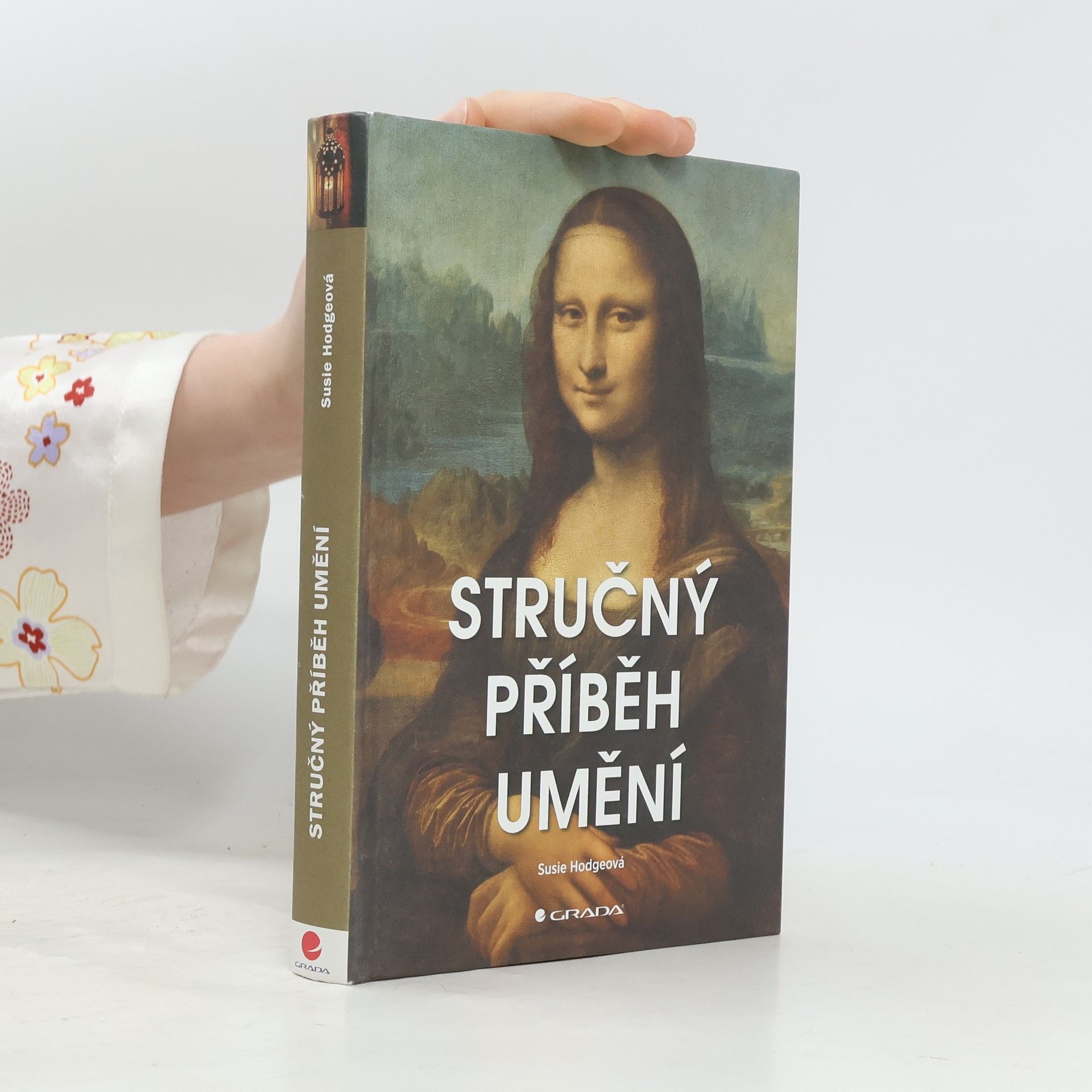 Susie Hodge Stručný příběh umění