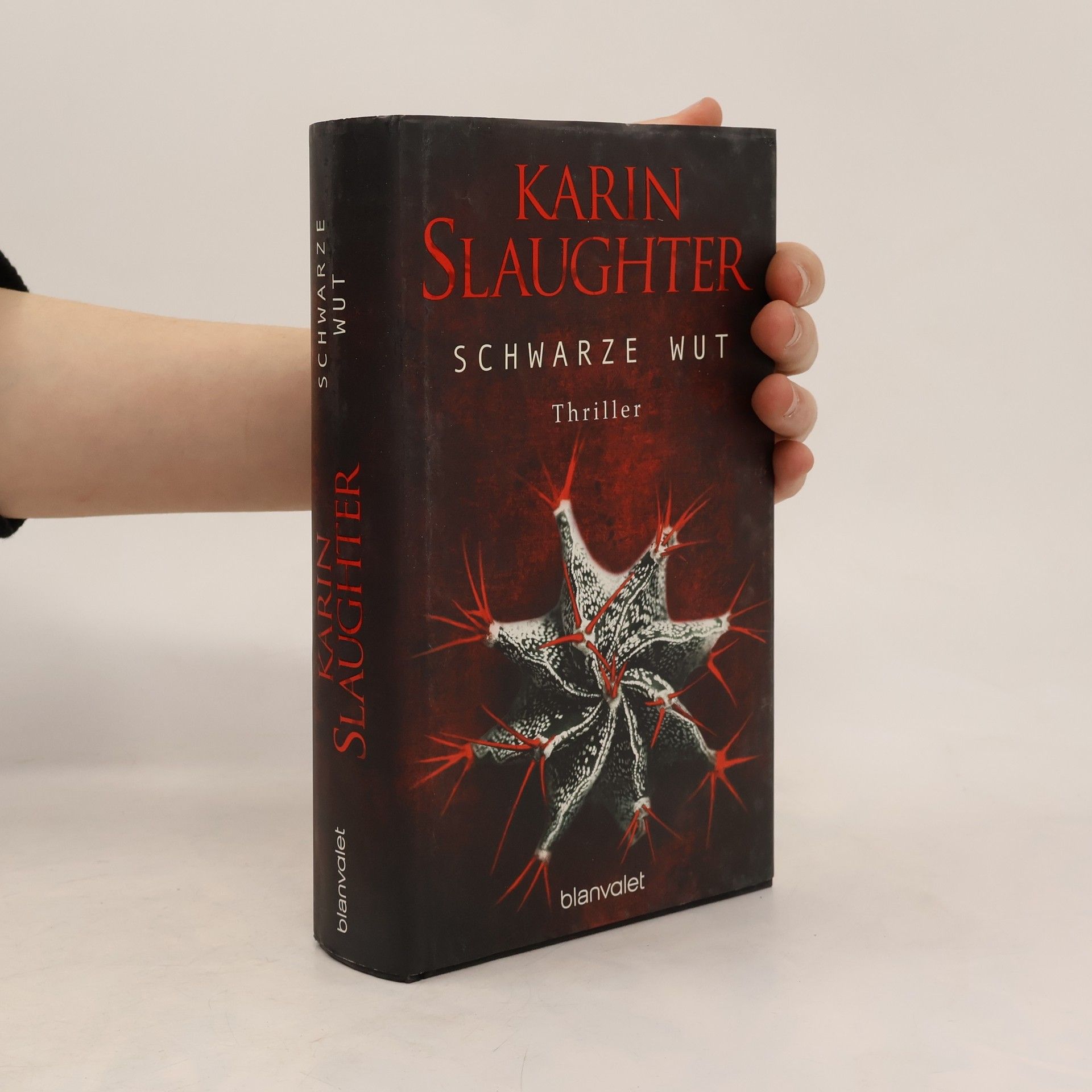 Karin Slaughter Schwarze Wut