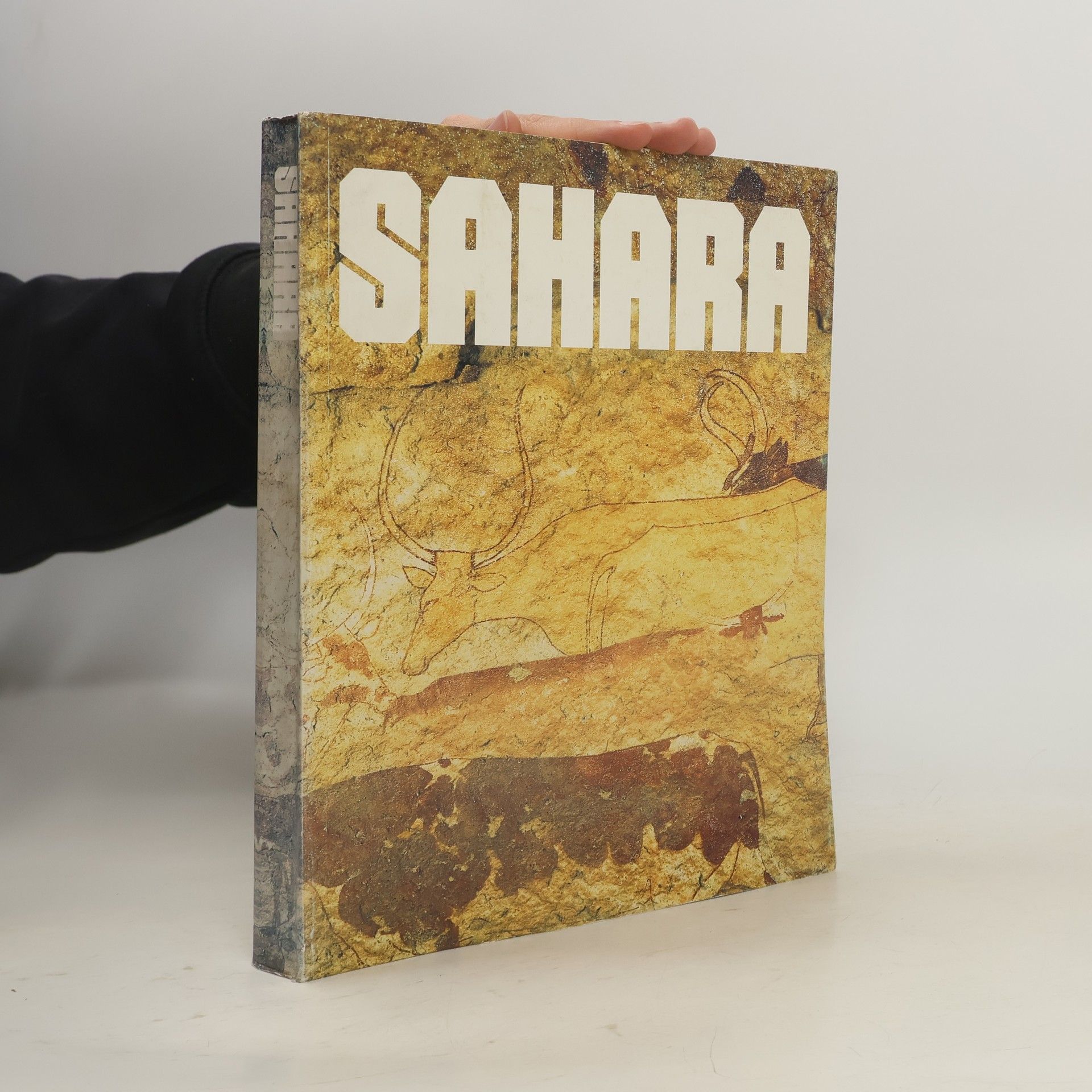 Autores varios Sahara