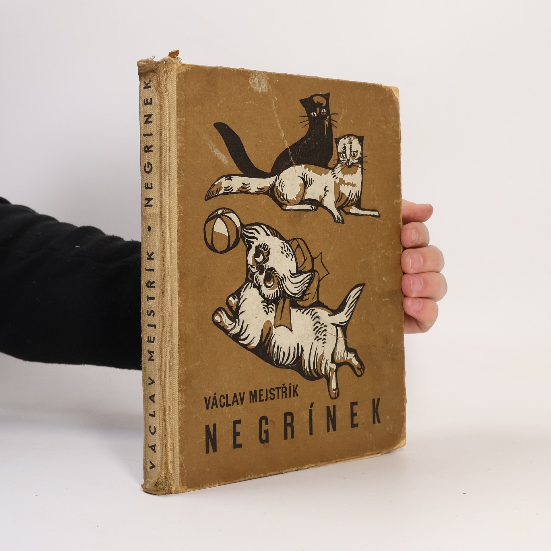 Václav Mejstřík Negrínek