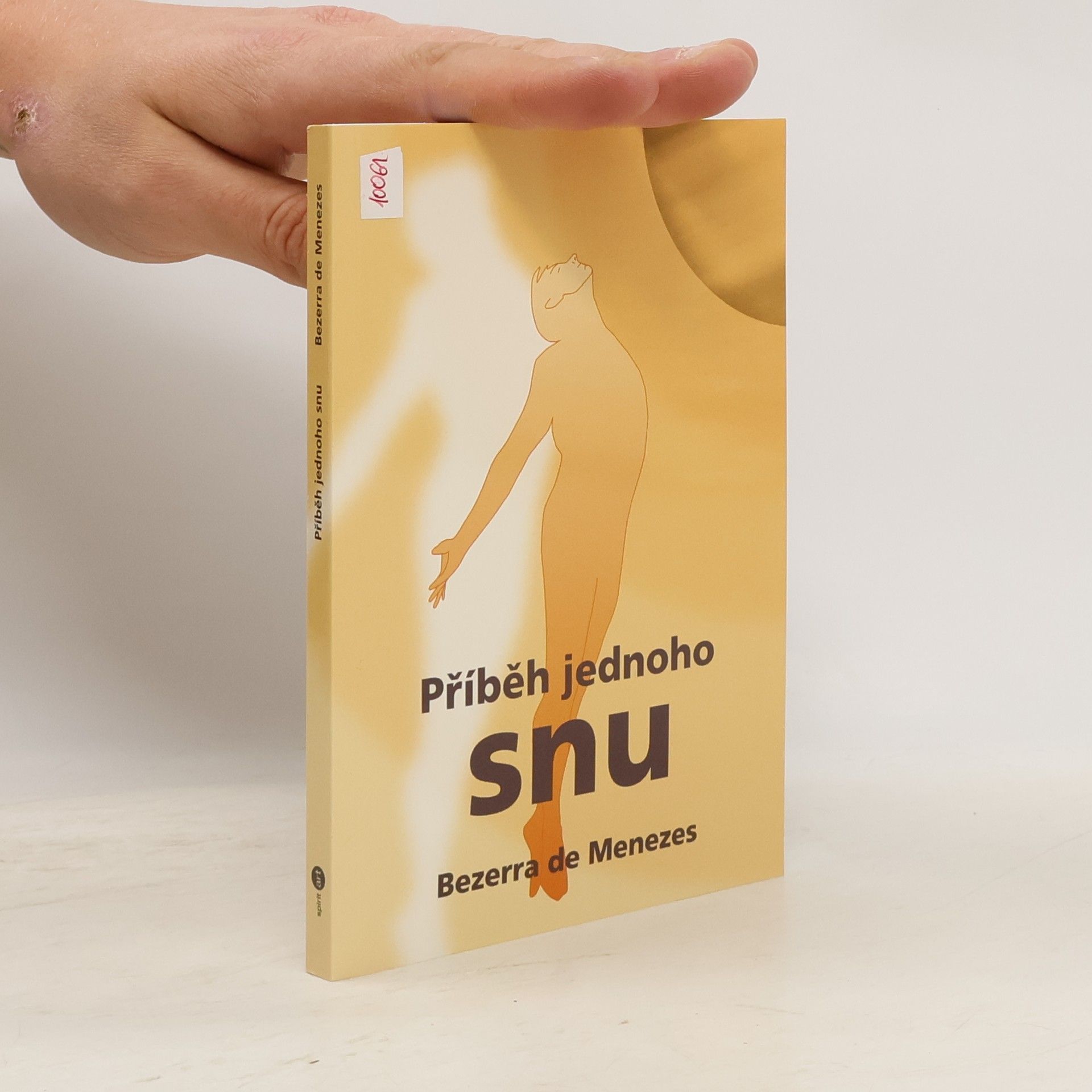 Bezerra de Menezes Příběh jednoho snu