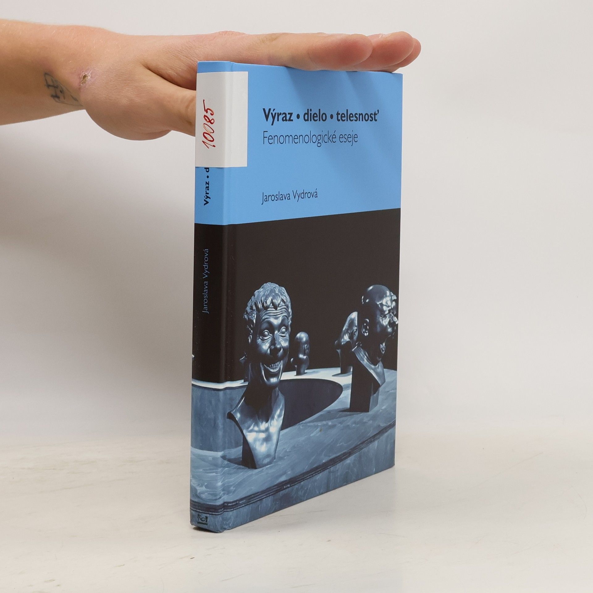 Jaroslava Vydrová Výraz, dielo, telesnosť : Fenomenologické eseje