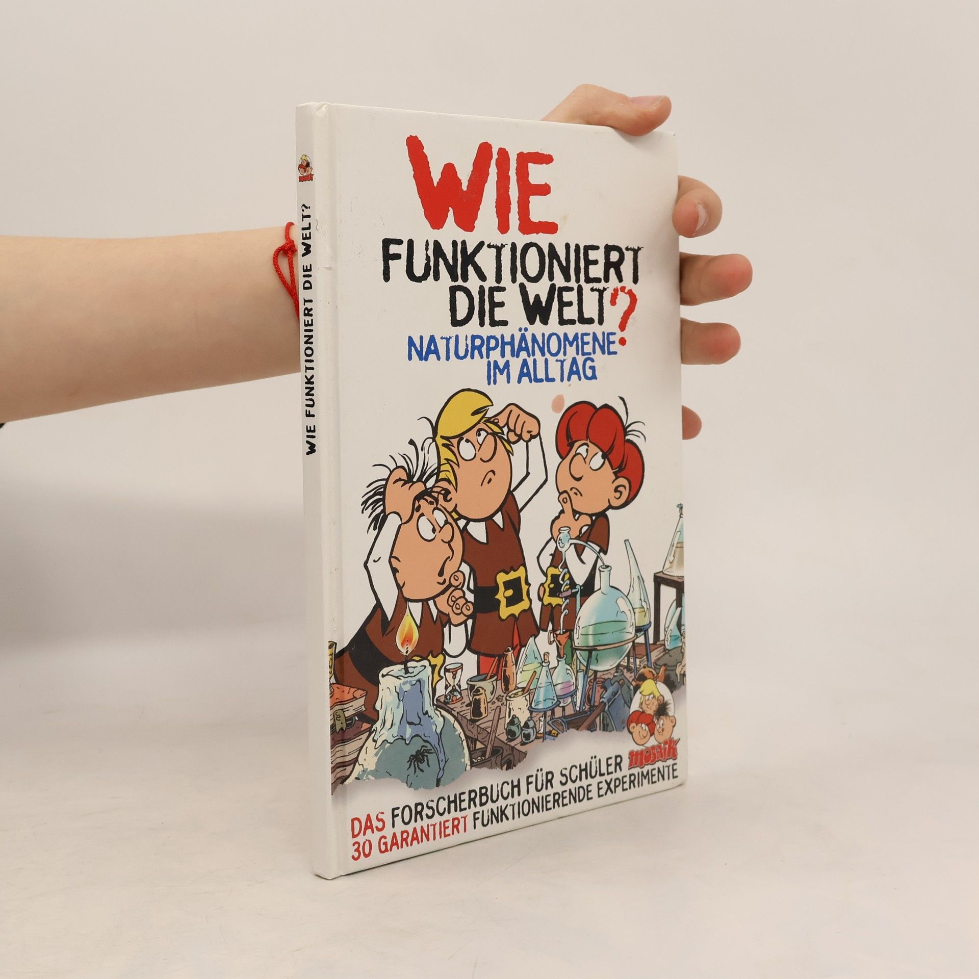Axel Werner Wie funktioniert die Welt?