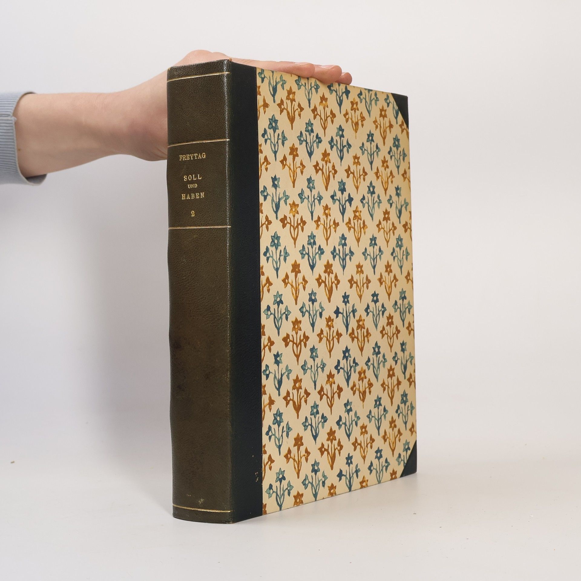 Gustav Freytag Soll und Haben 2