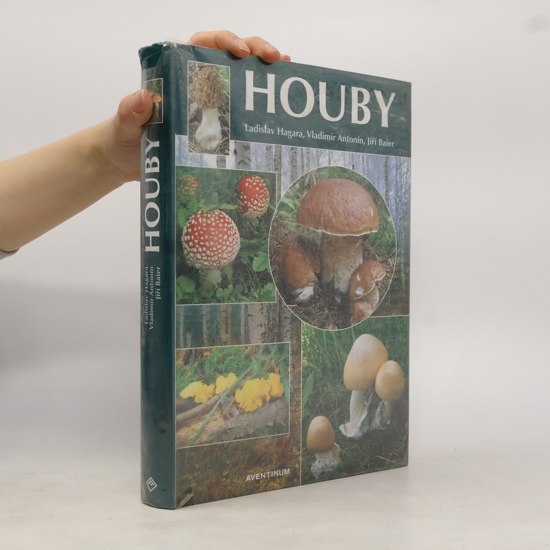 Vladimír Antonín Houby