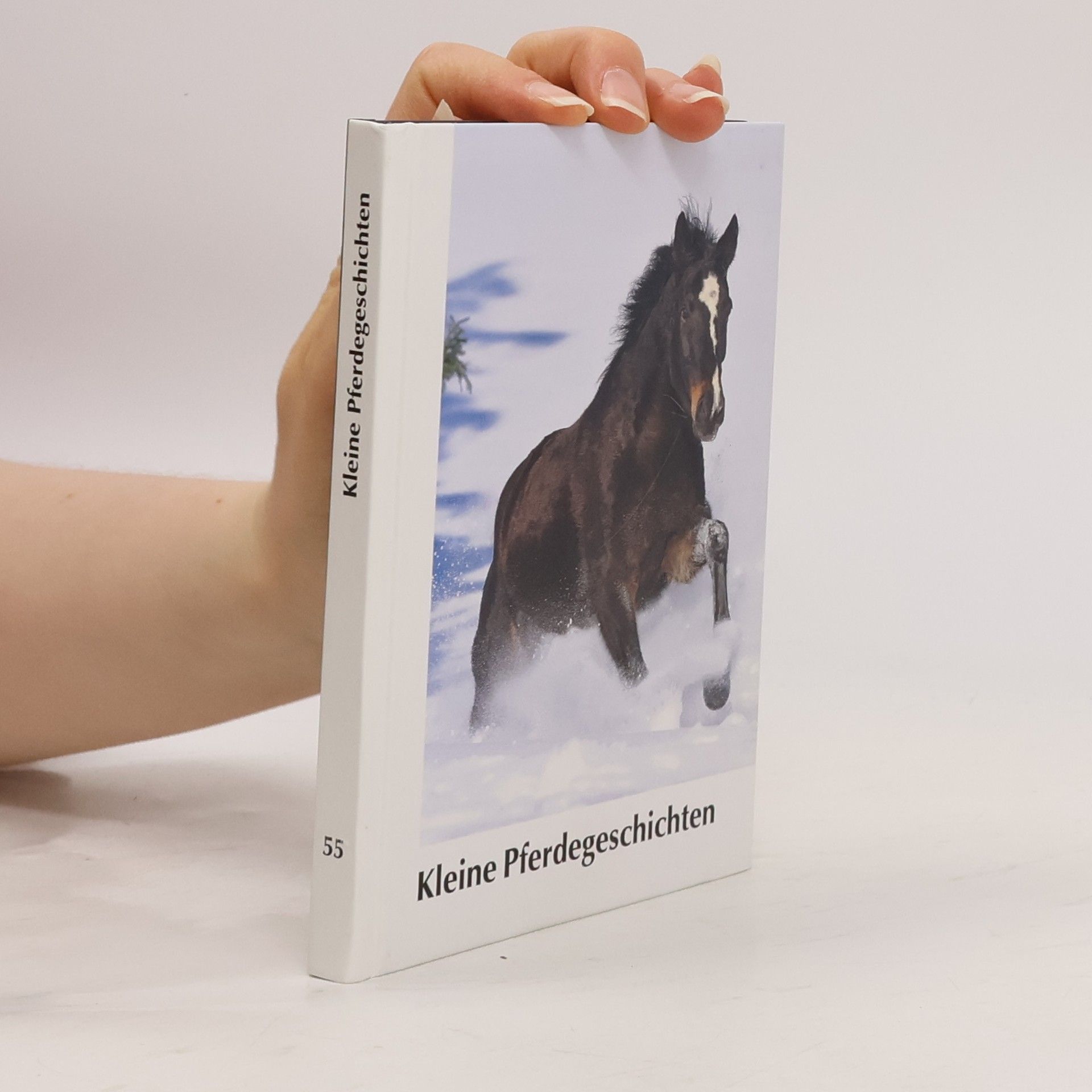 Autorenkollektiv Kleine Pferdegeschichten