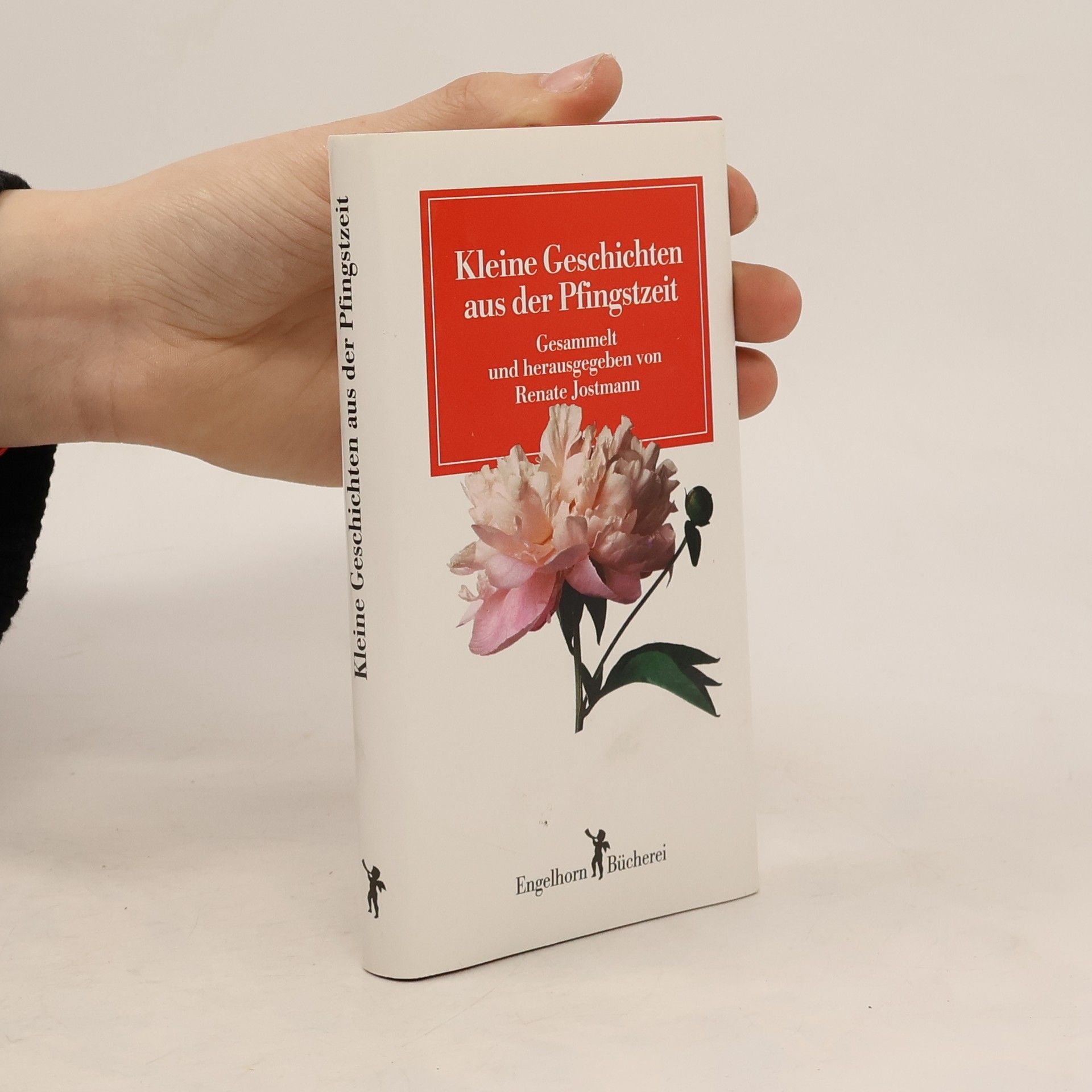 Renate Jostmann Engelhorn Bücherei: Kleine Geschichten aus der Pfingstzeit