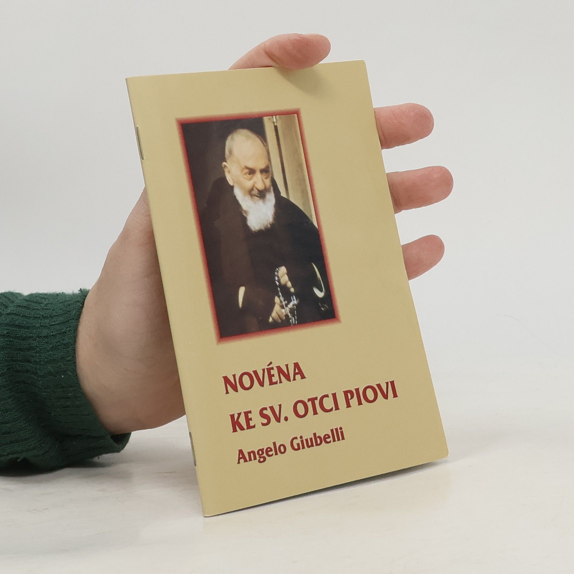 Angelo Giubelli Novéna ke sv. otci Piovi