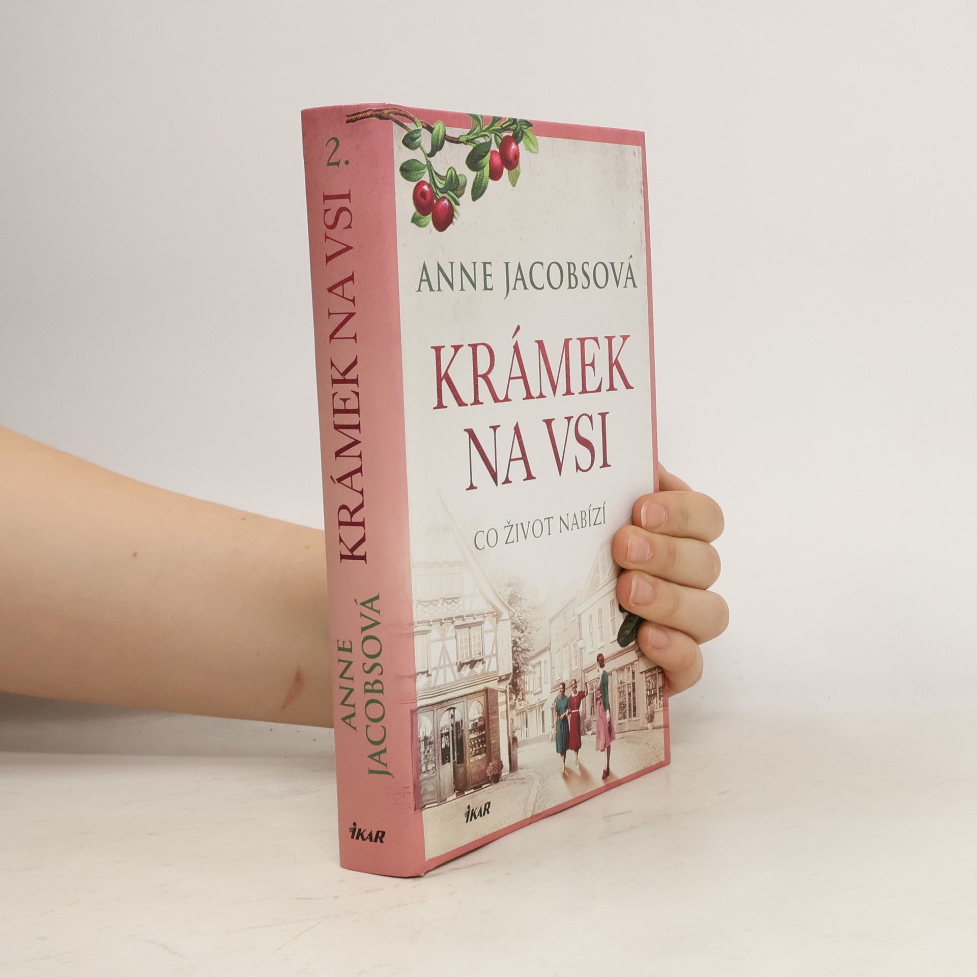 Anne Jacobs Krámek na vsi