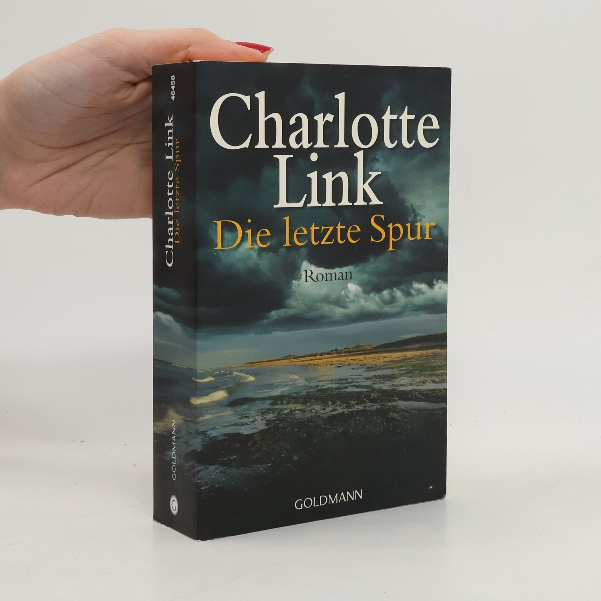 Charlotte Link Die letzte Spur