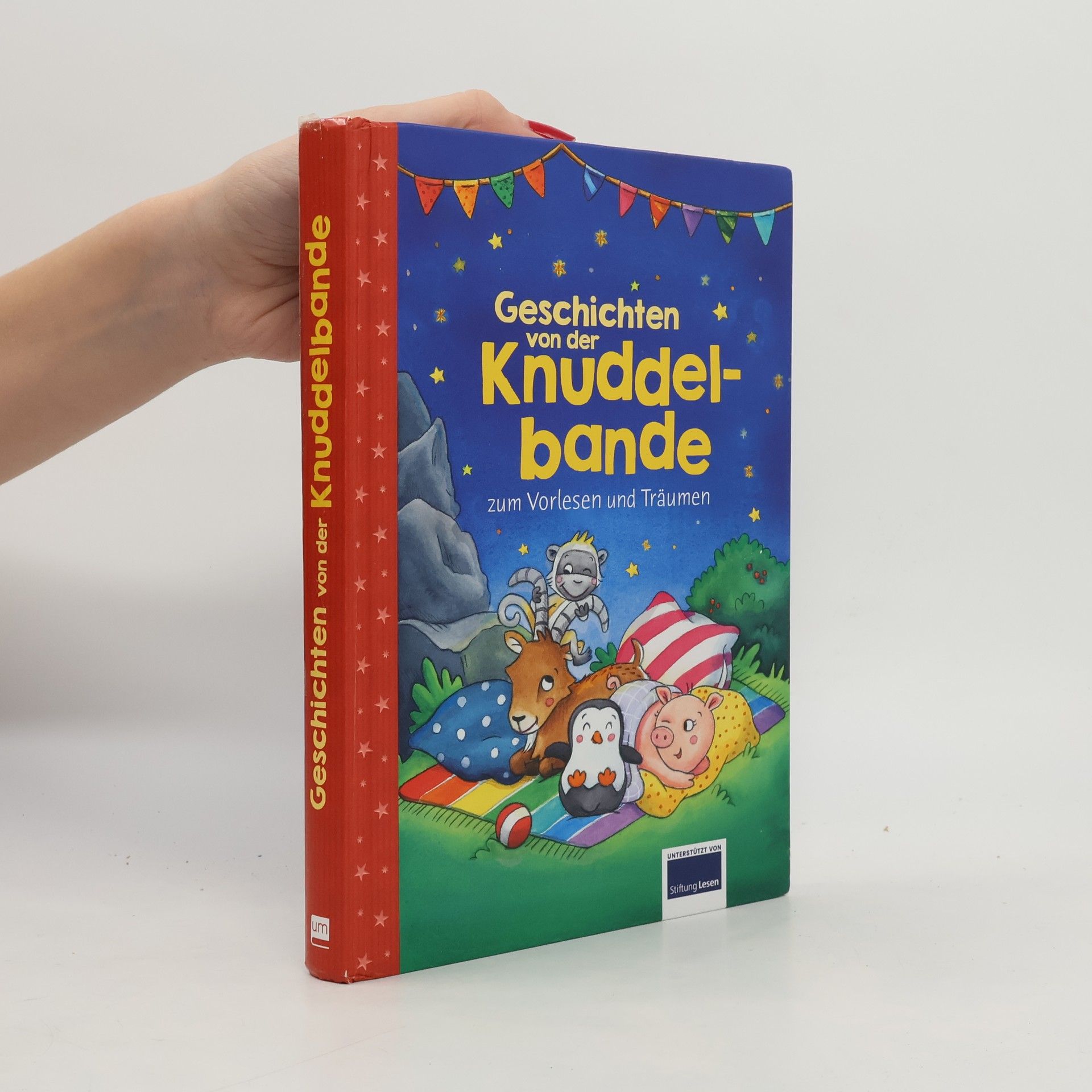 Henriette Wich Geschichten von der Knuddelbande