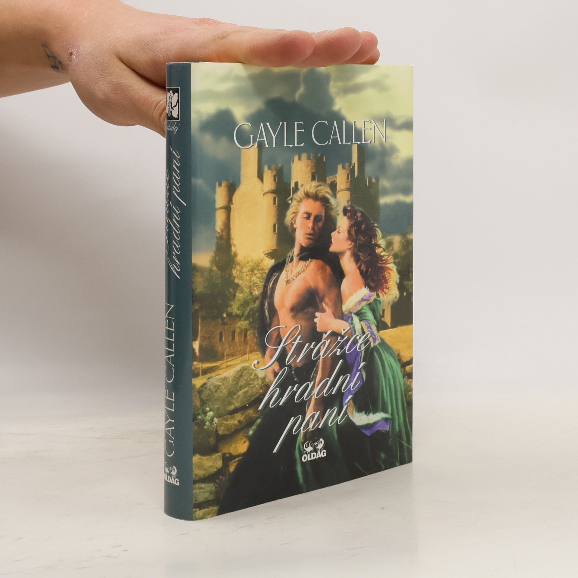 Julia Latham Strážce hradní paní