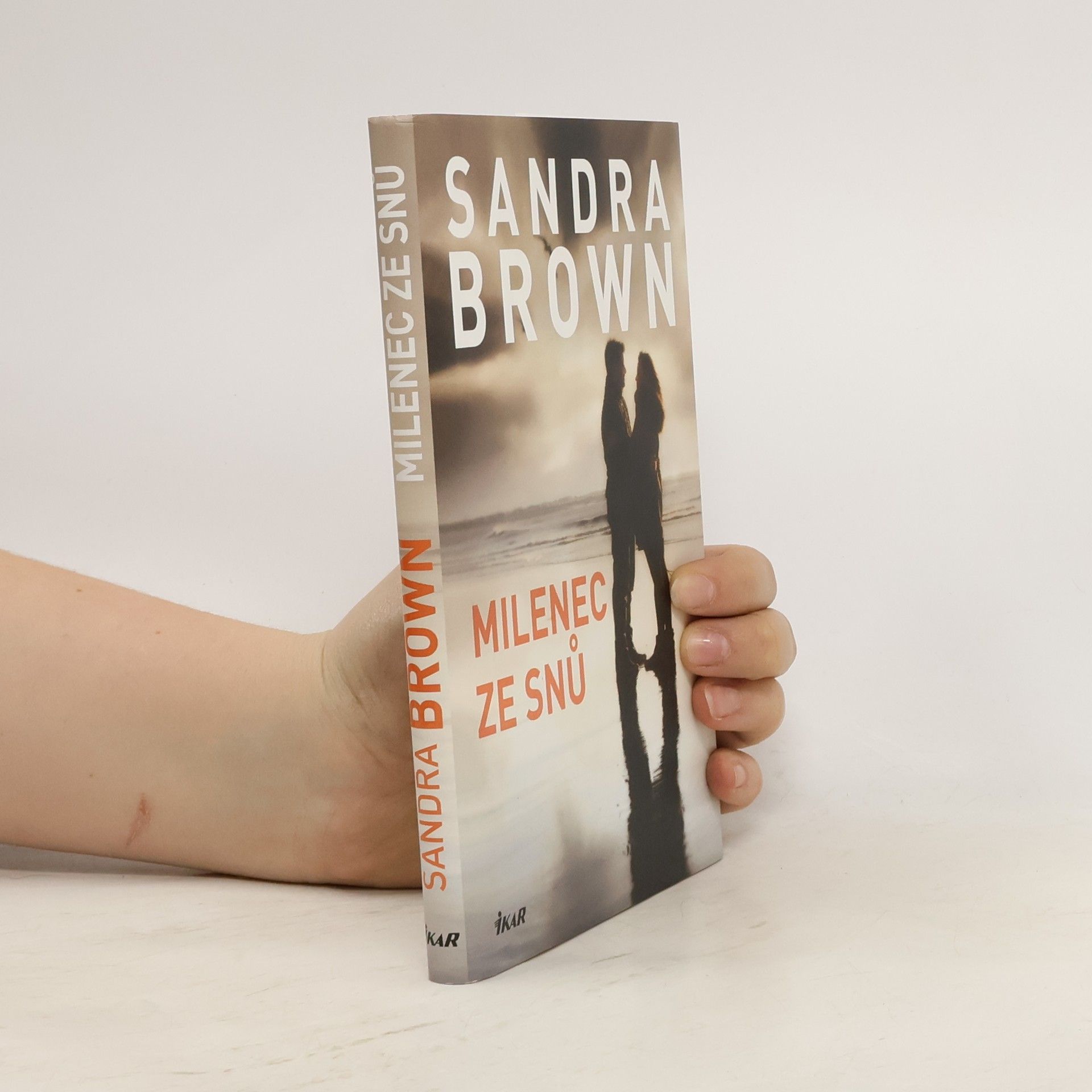 Sandra Brown Milenec ze snů