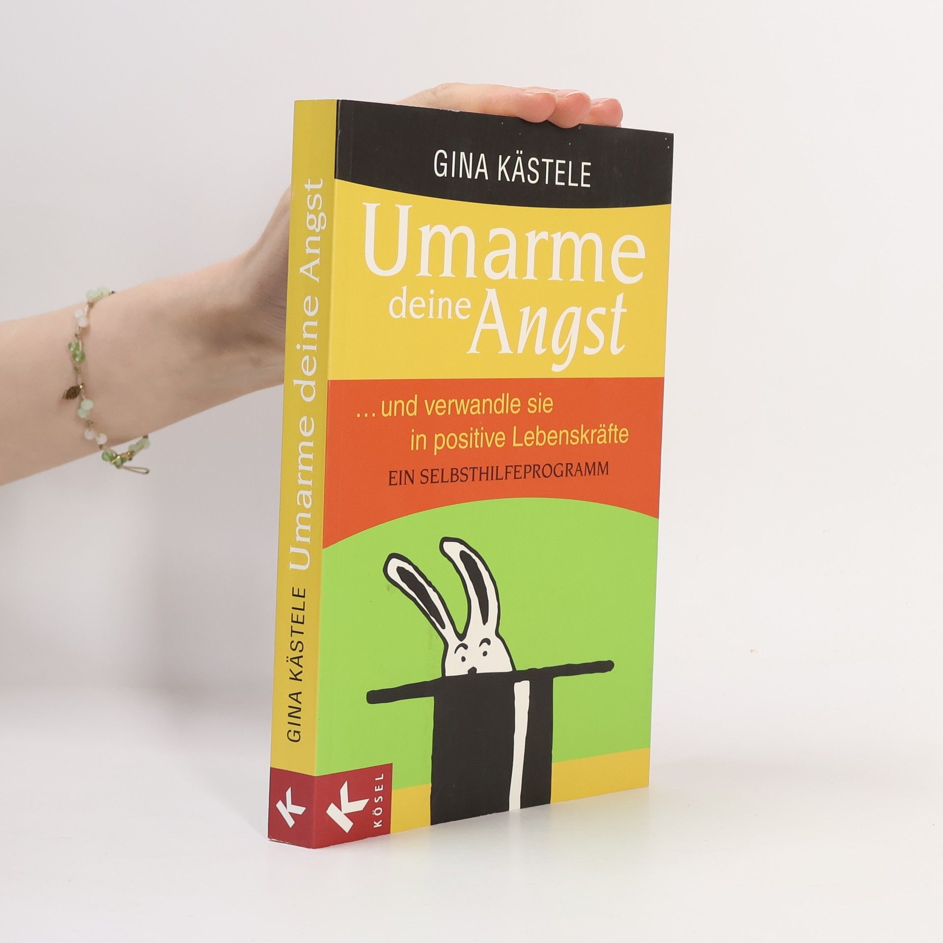 Gina Kästele Umarme deine Angst und verwandle sie in positive Lebenskräfte