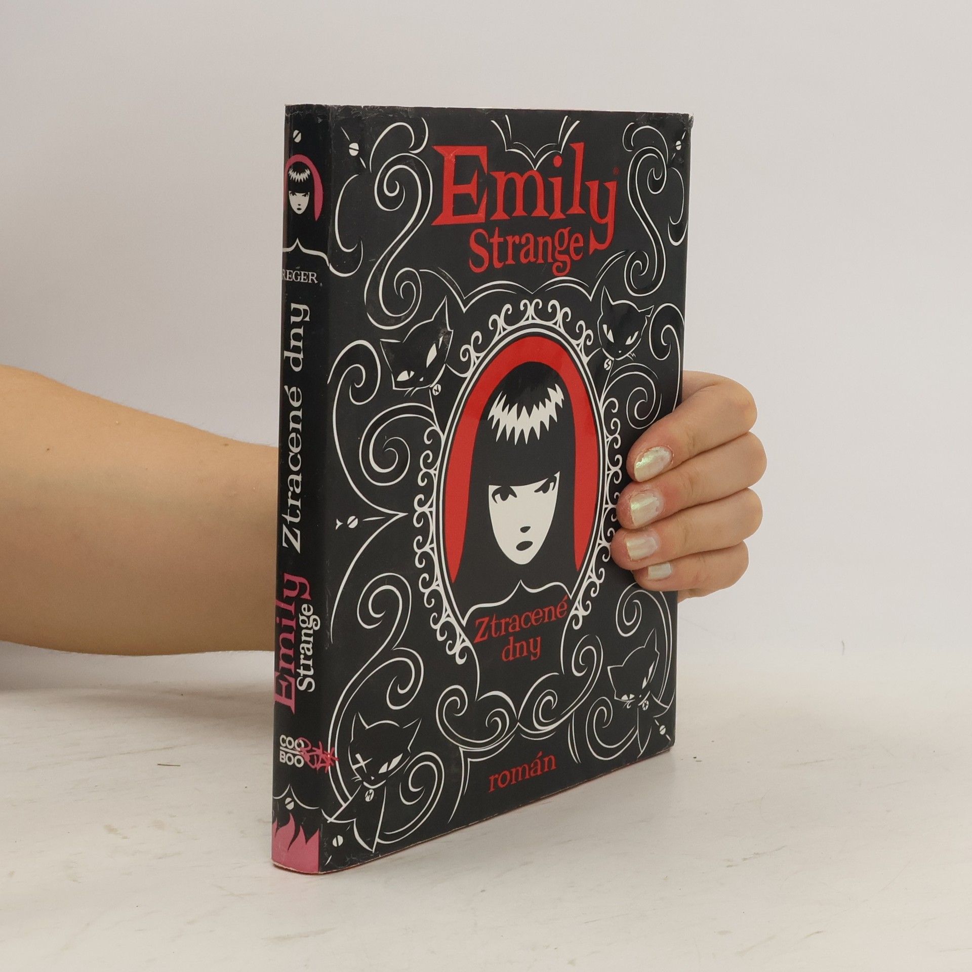Emily Strange. Ztracené dny