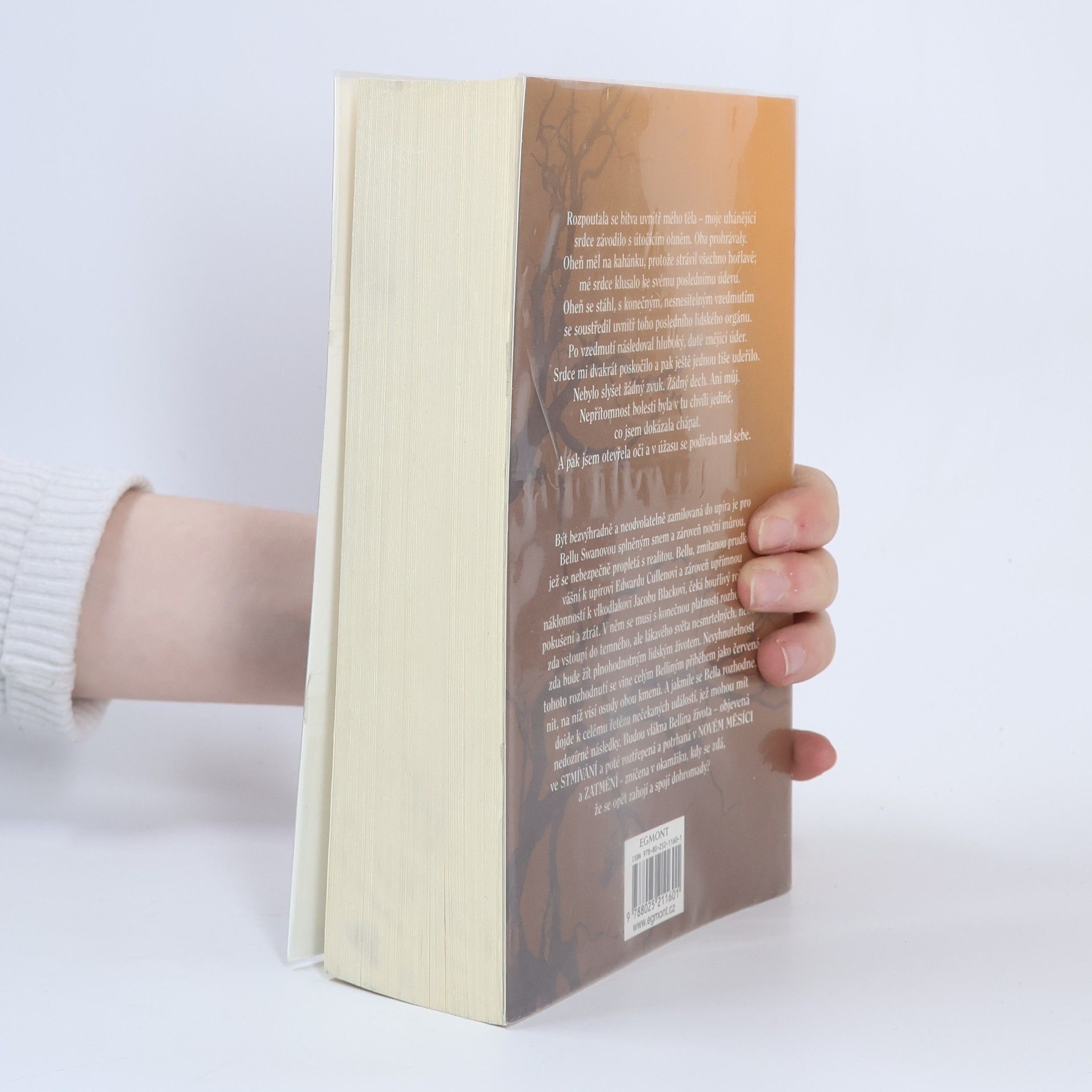 Stephenie Meyer Rozbřesk