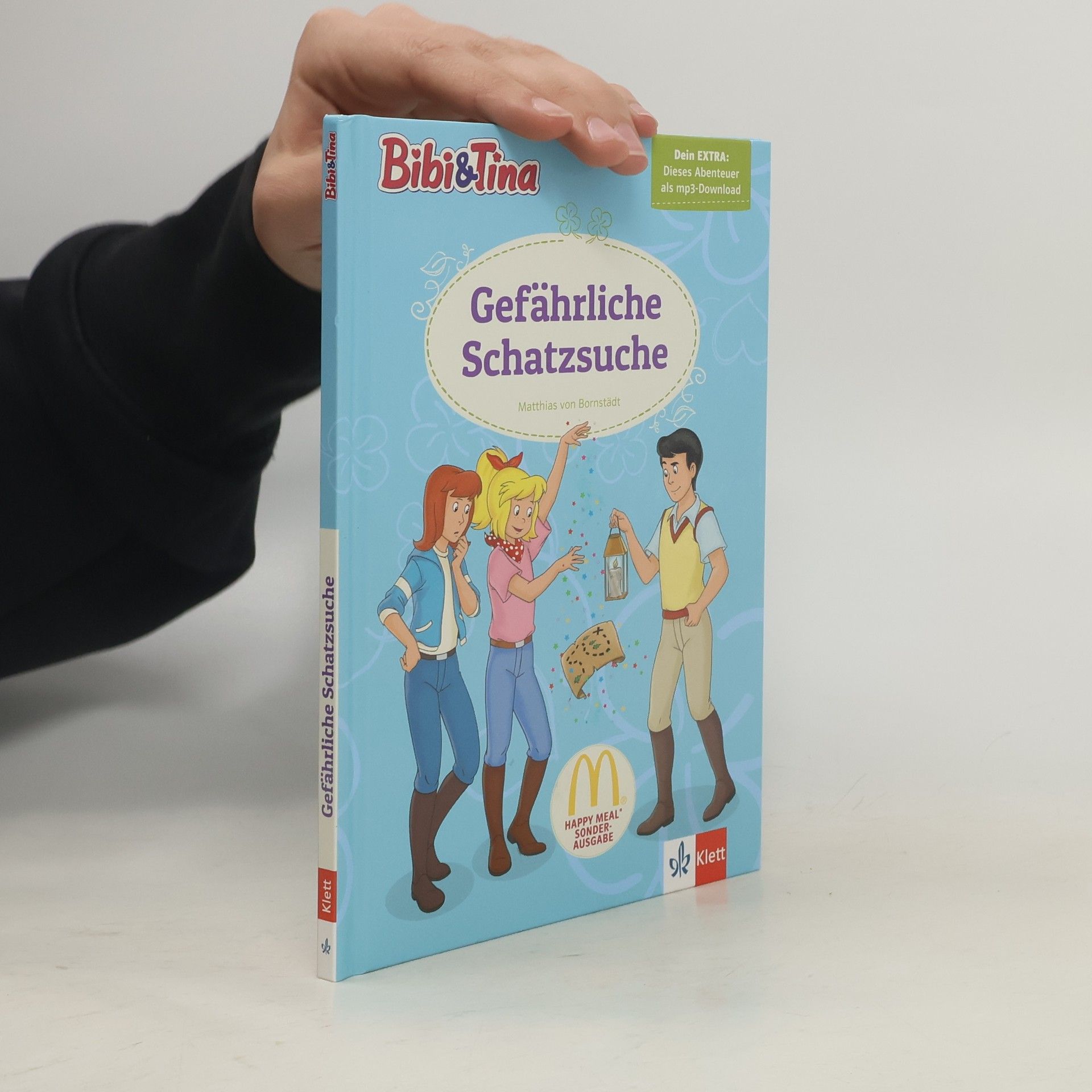 Matthias von Bornstädt Gefährliche Schatzsuche