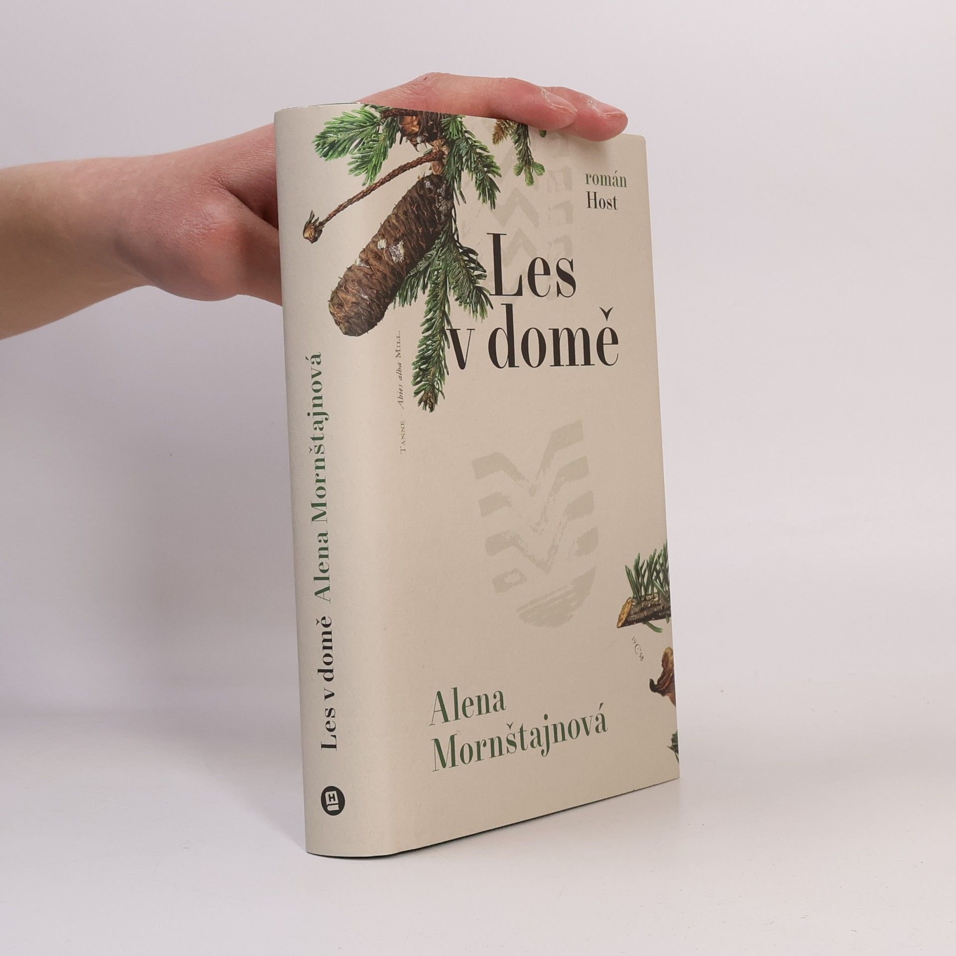 Alena Mornštajnová Les v domě