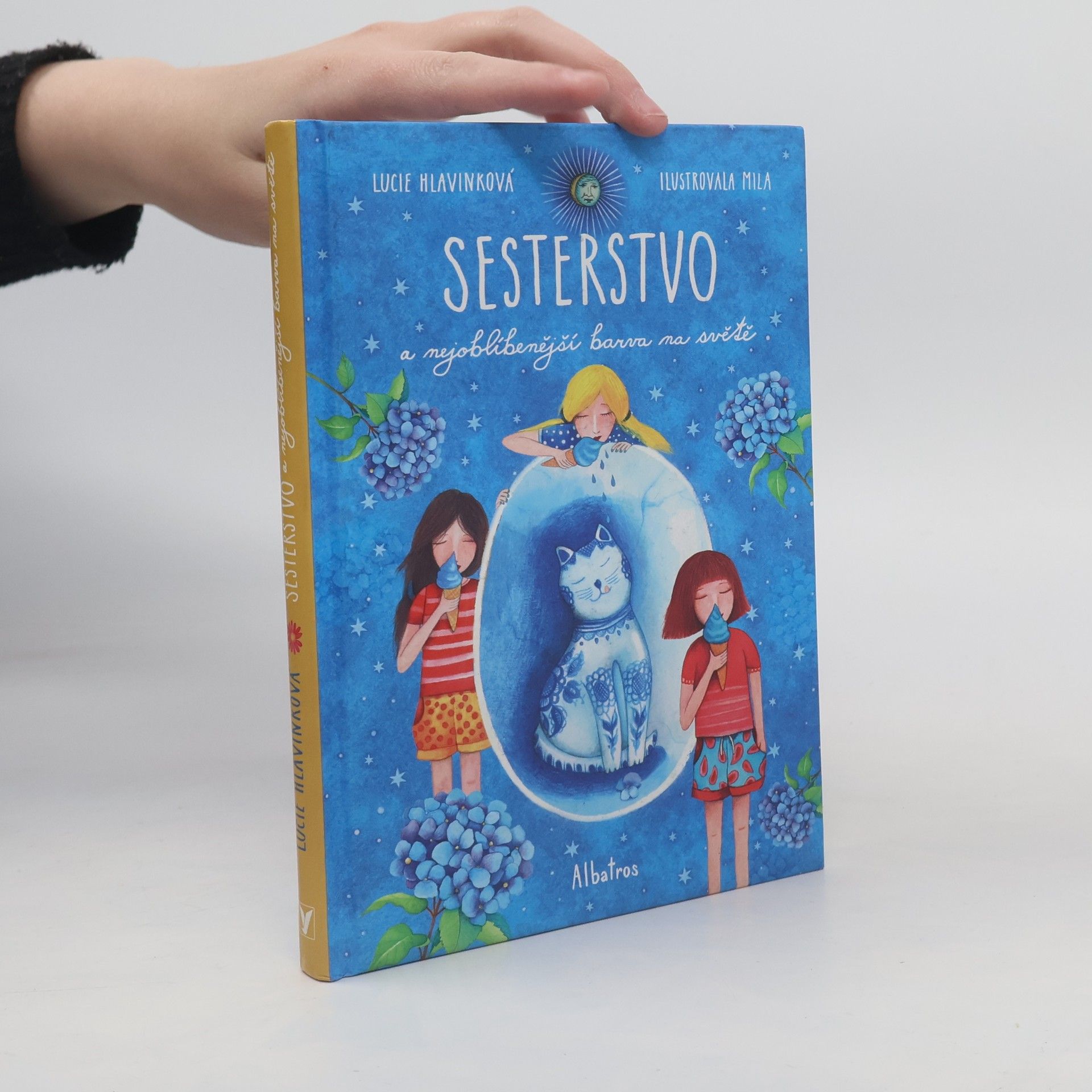 Lucie Hlavinková Sesterstvo a nejoblíbenější barva na světě