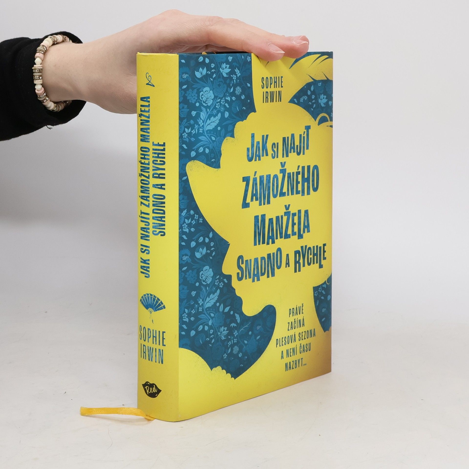 Sophie Irwin Jak si najít zámožného manžela snadno a rychle