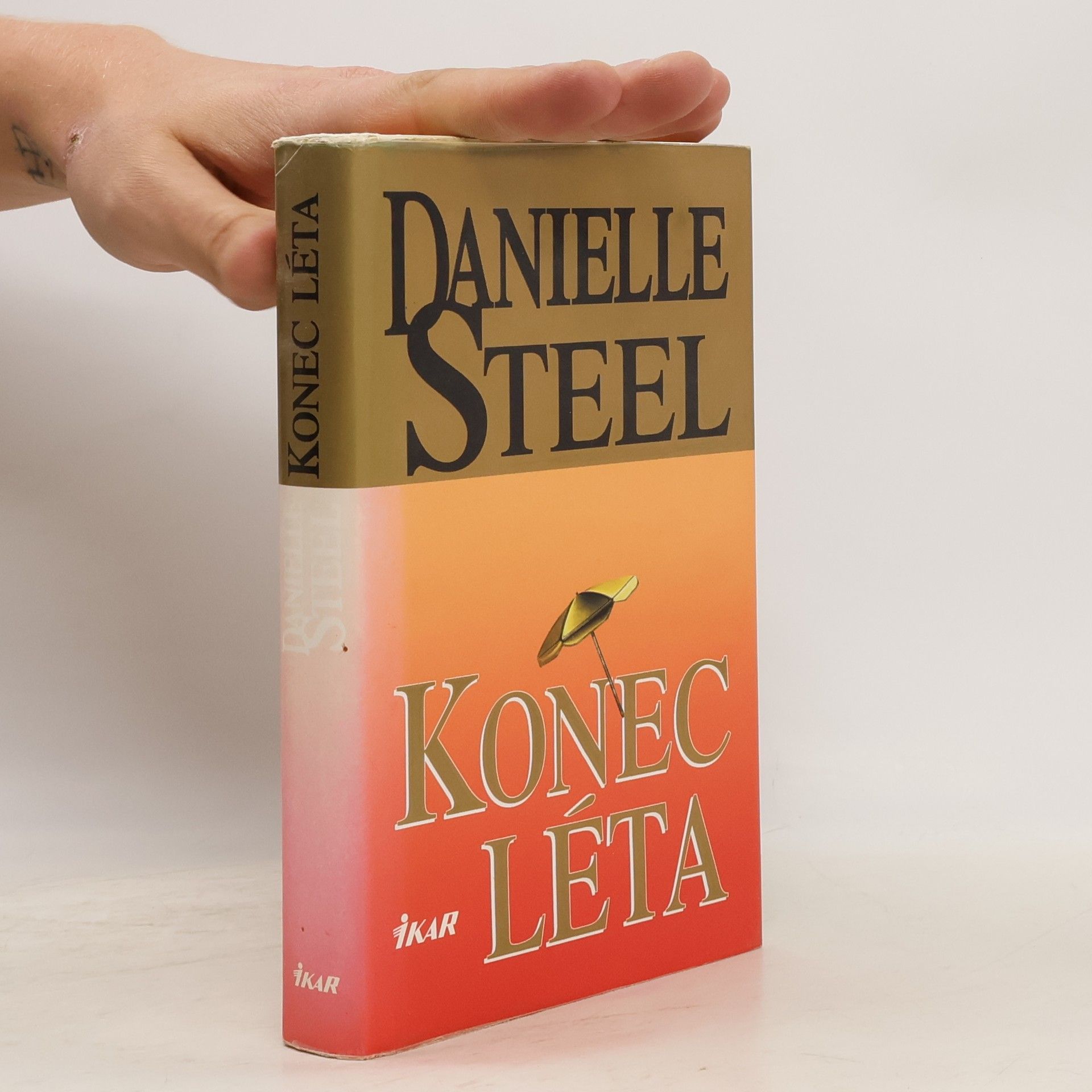 Danielle Steel Konec léta