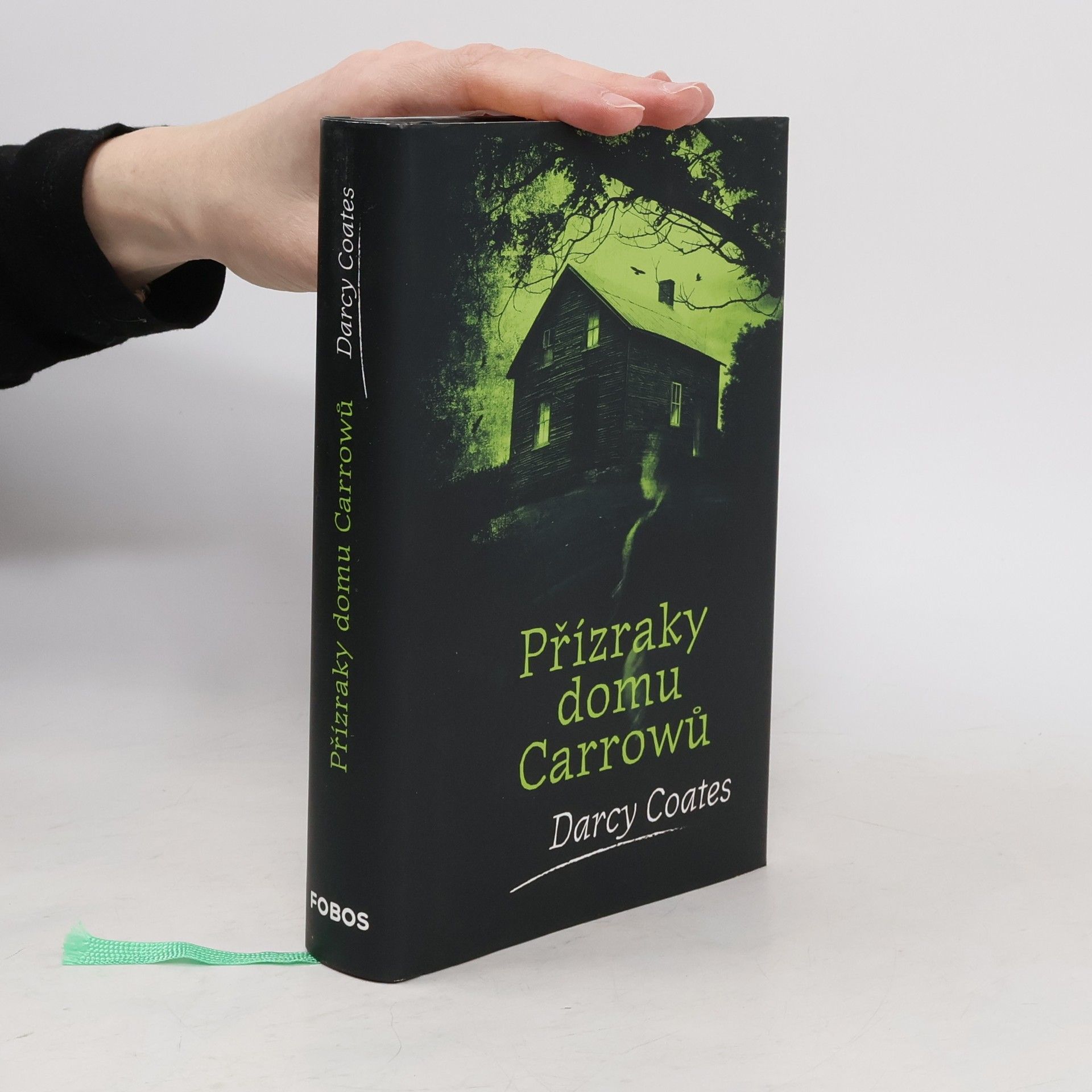 Darcy Coates Přízraky domu Carrowů