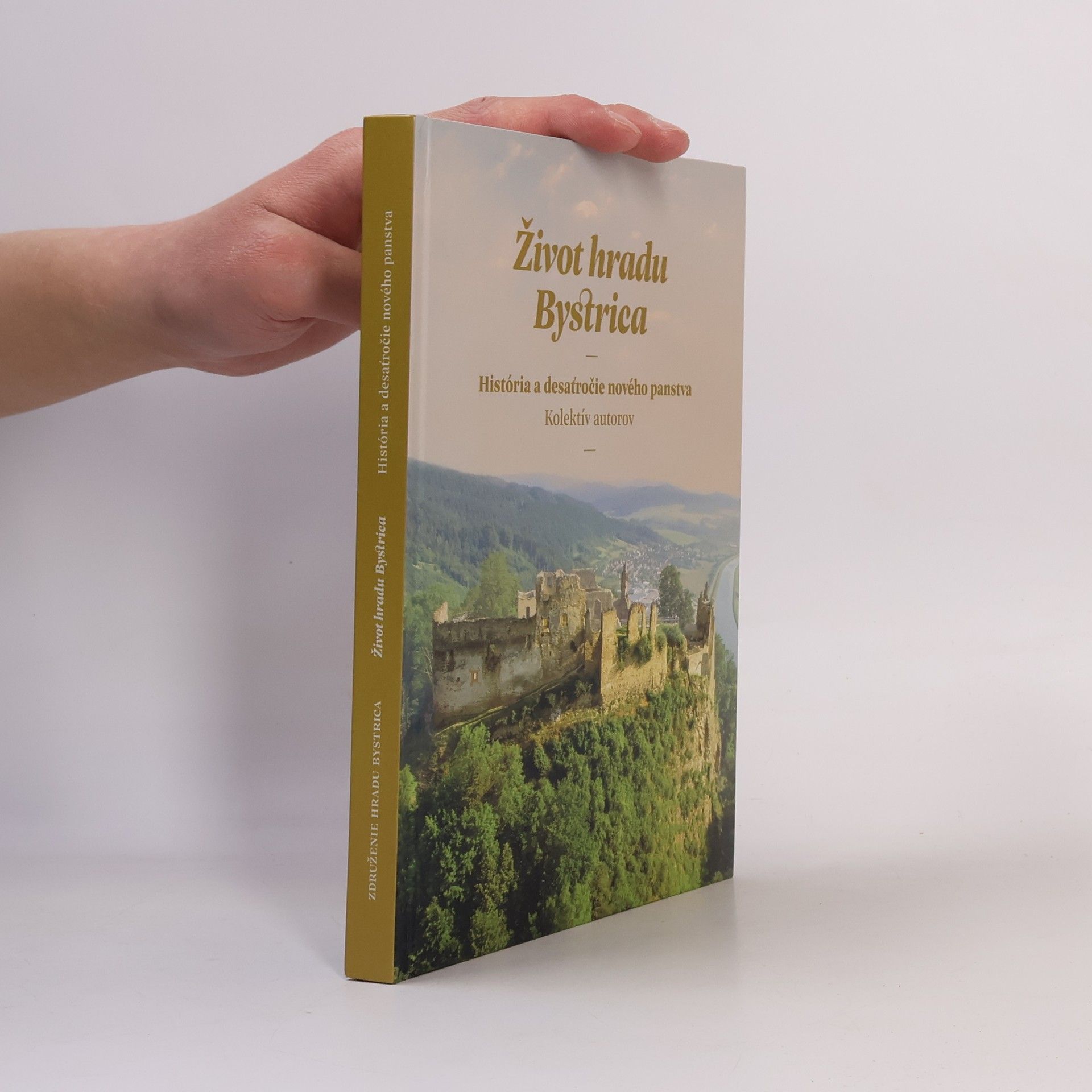 Kolektiv autorů Život hradu Bystrica