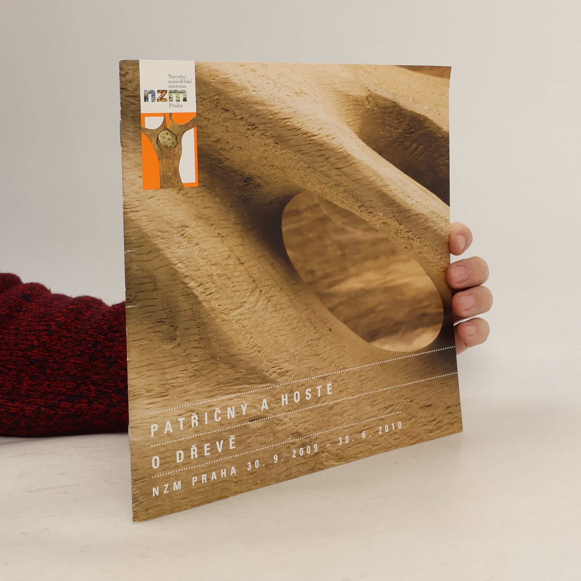 Martin Patřičný Patřičný a hosté - O dřevě