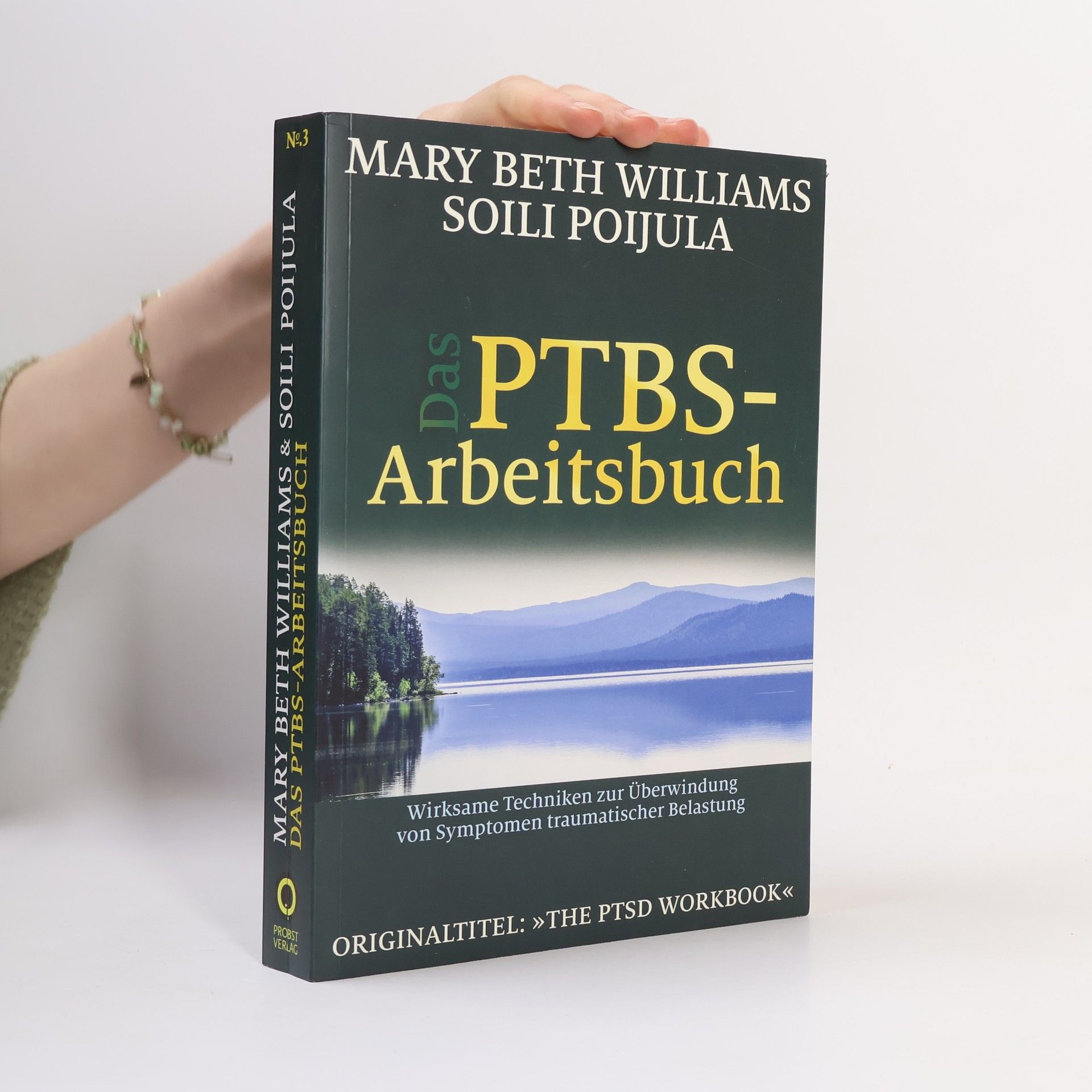 Mary Beth Williams Das PTBS-Arbeitsbuch