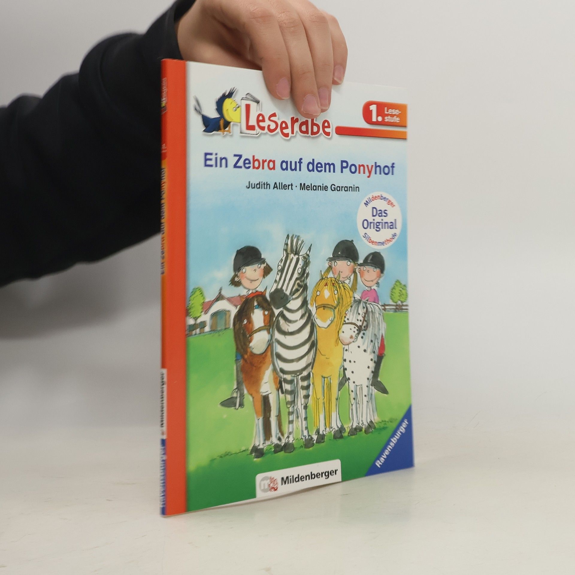 Judith Allert Ein Zebra auf dem Ponyhof