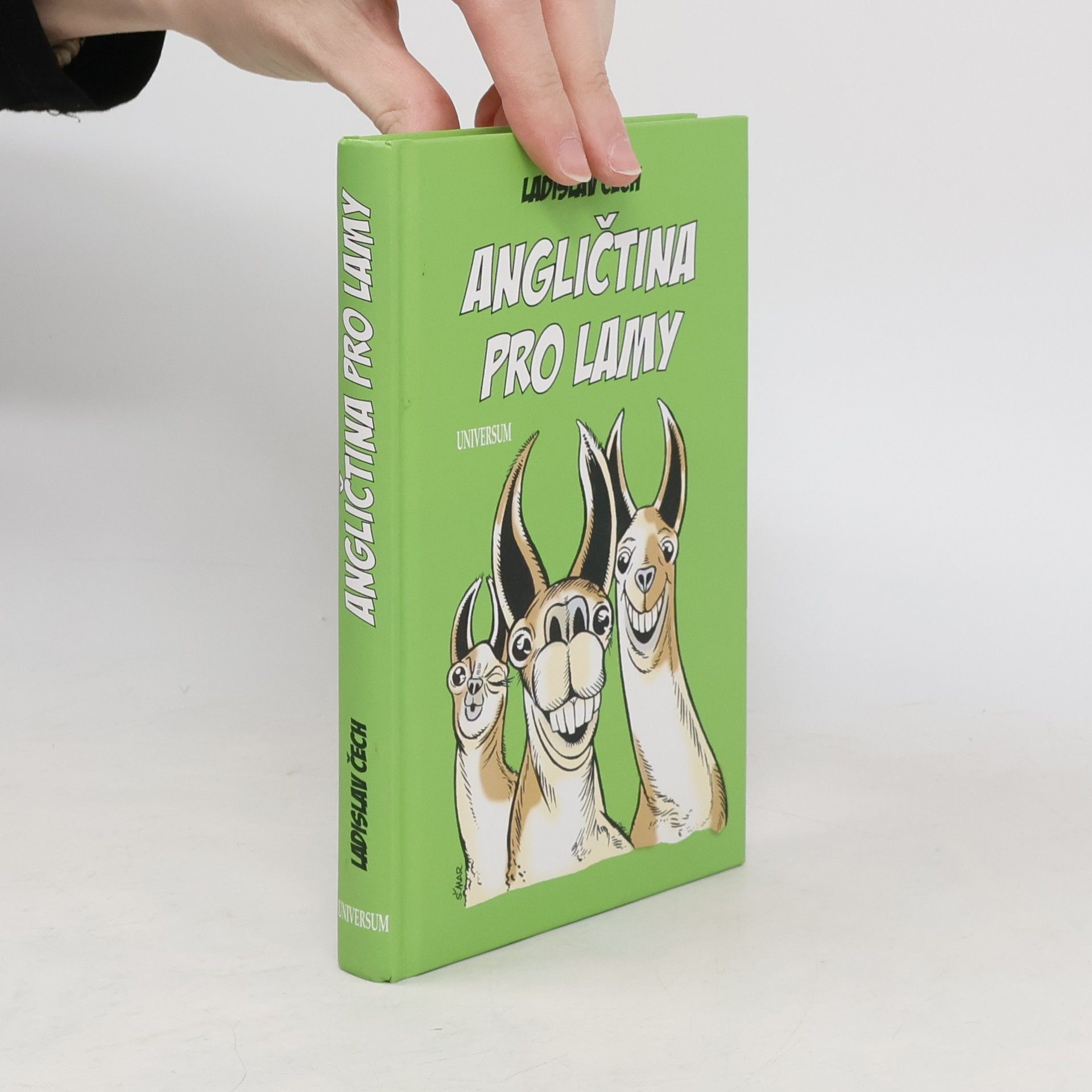 Ladislav Čech Angličtina pro lamy