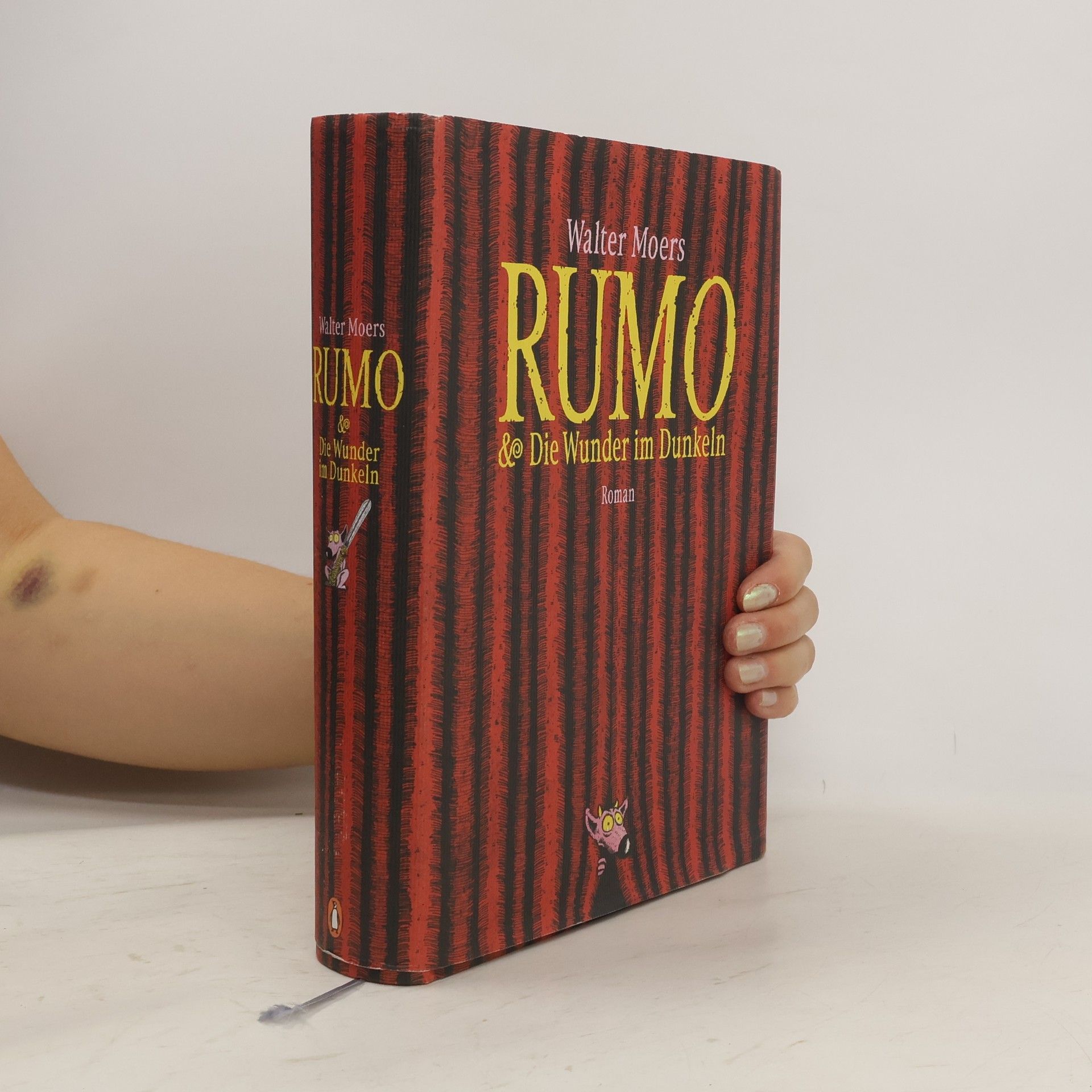 Walter Moers Rumo & die Wunder im Dunkeln
