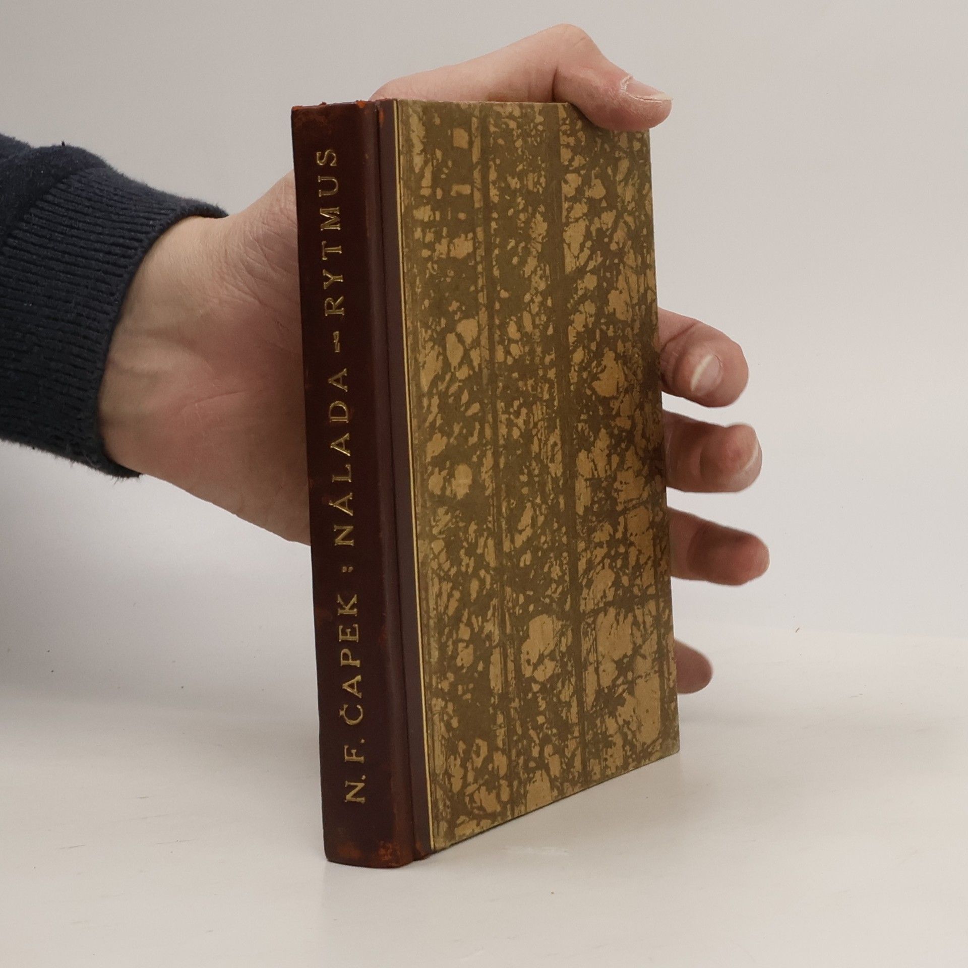 Norbert Čapek Nálada a její vědomé tvoření