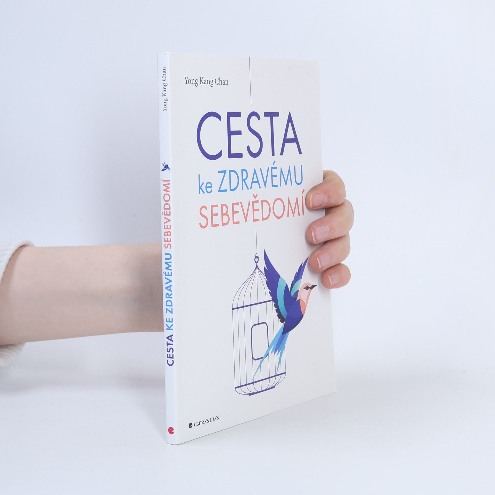 Yong Kang Chan Cesta ke zdravému sebevědomí