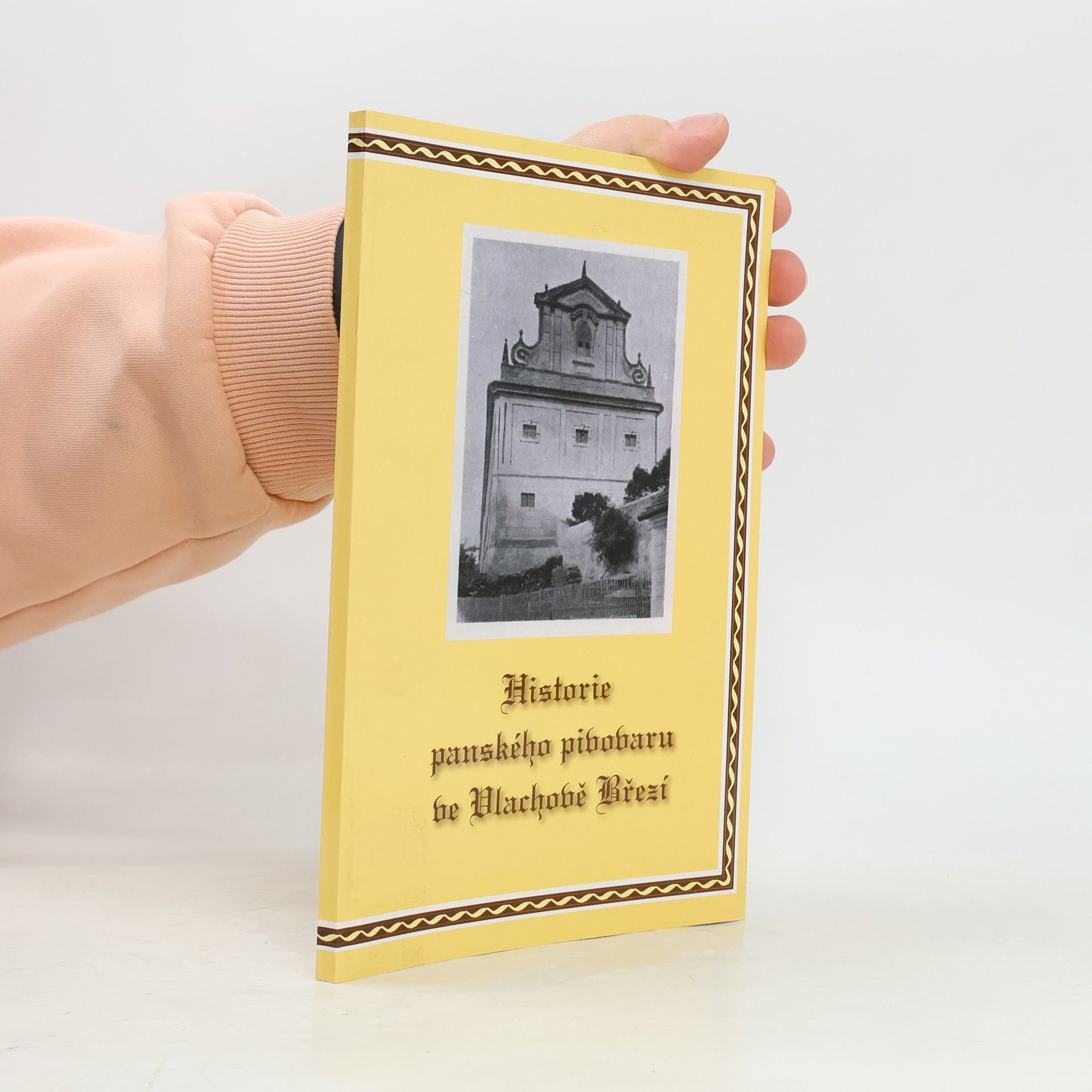 Kolektiv autorů Historie panského pivovaru ve Vlachově Březí