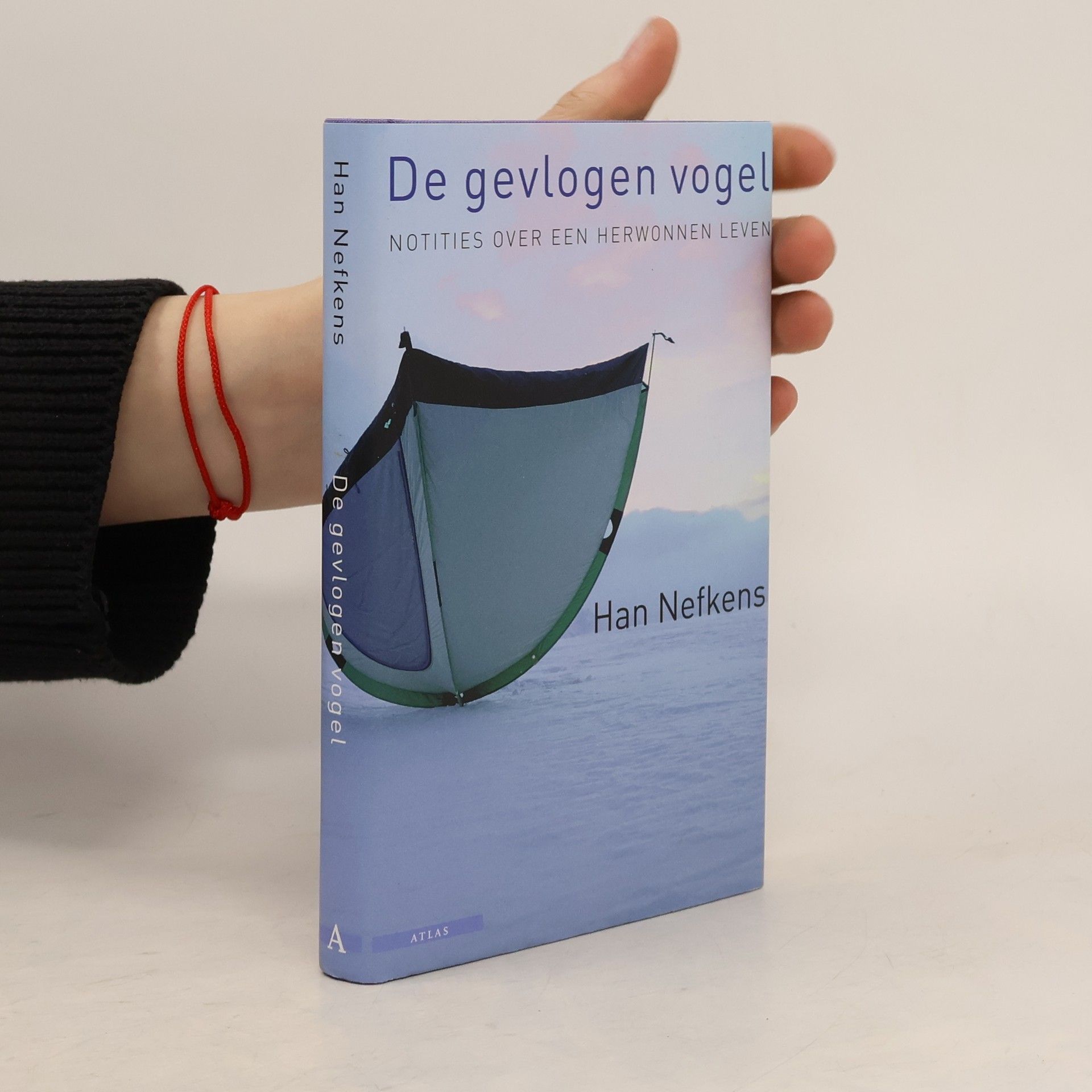 Han Nefkens De gevlogen vogel
