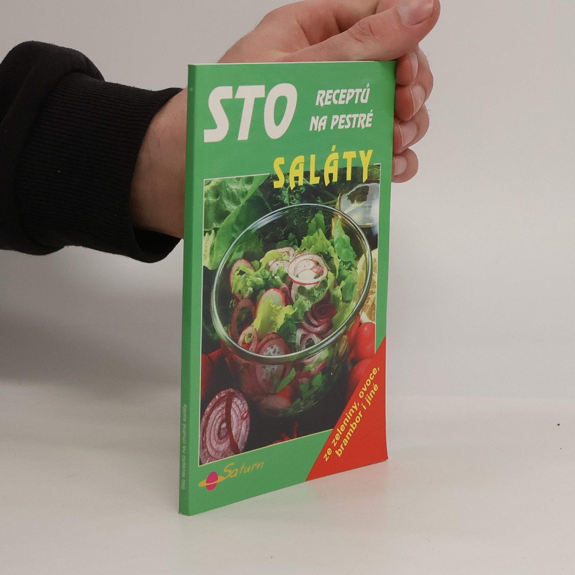 Marcela Hönigova Sto receptů na pestré saláty