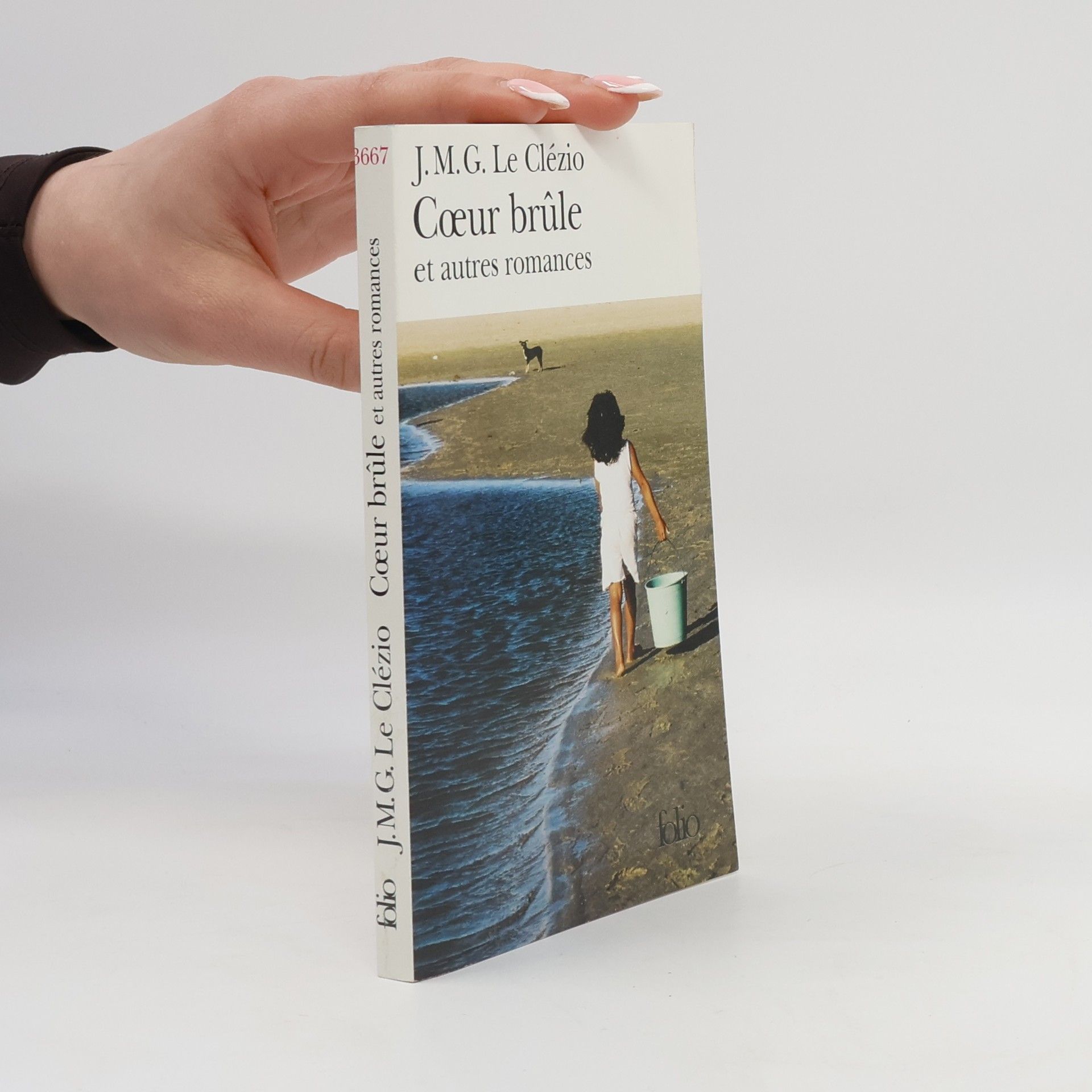 Jean-Marie Gustave Le Clézio Coeur brûle