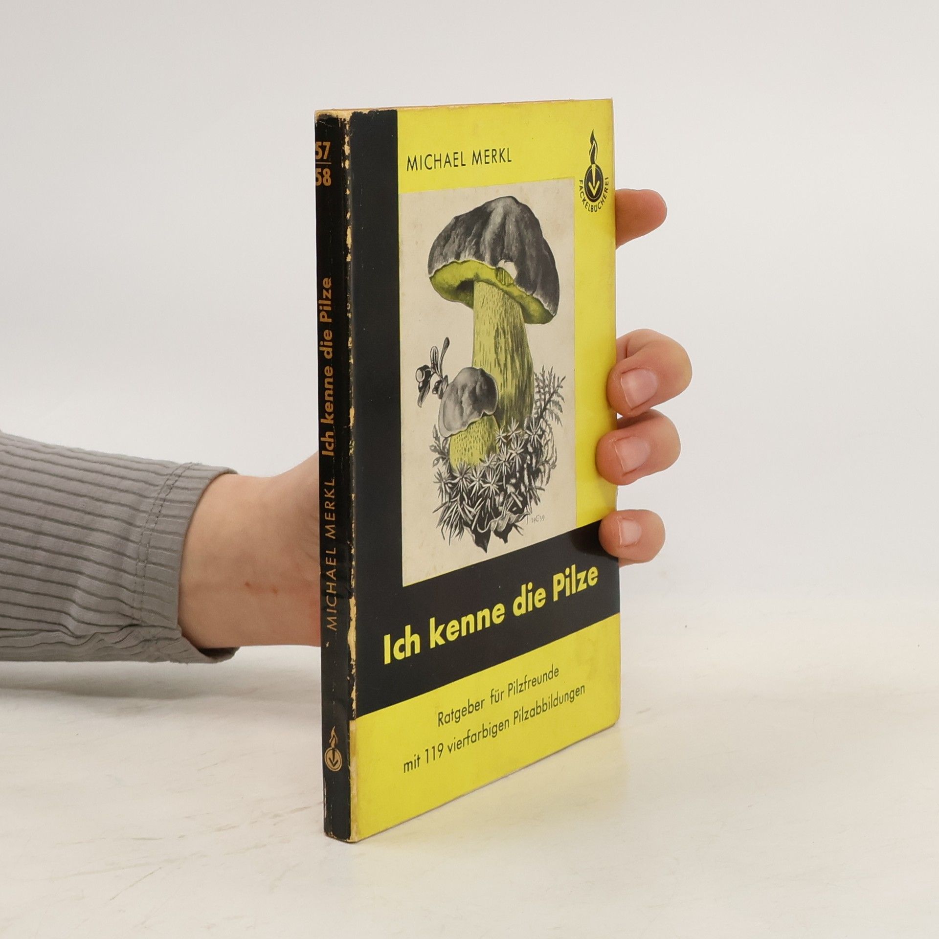 Michael Merkl Ich kenne die Pilze