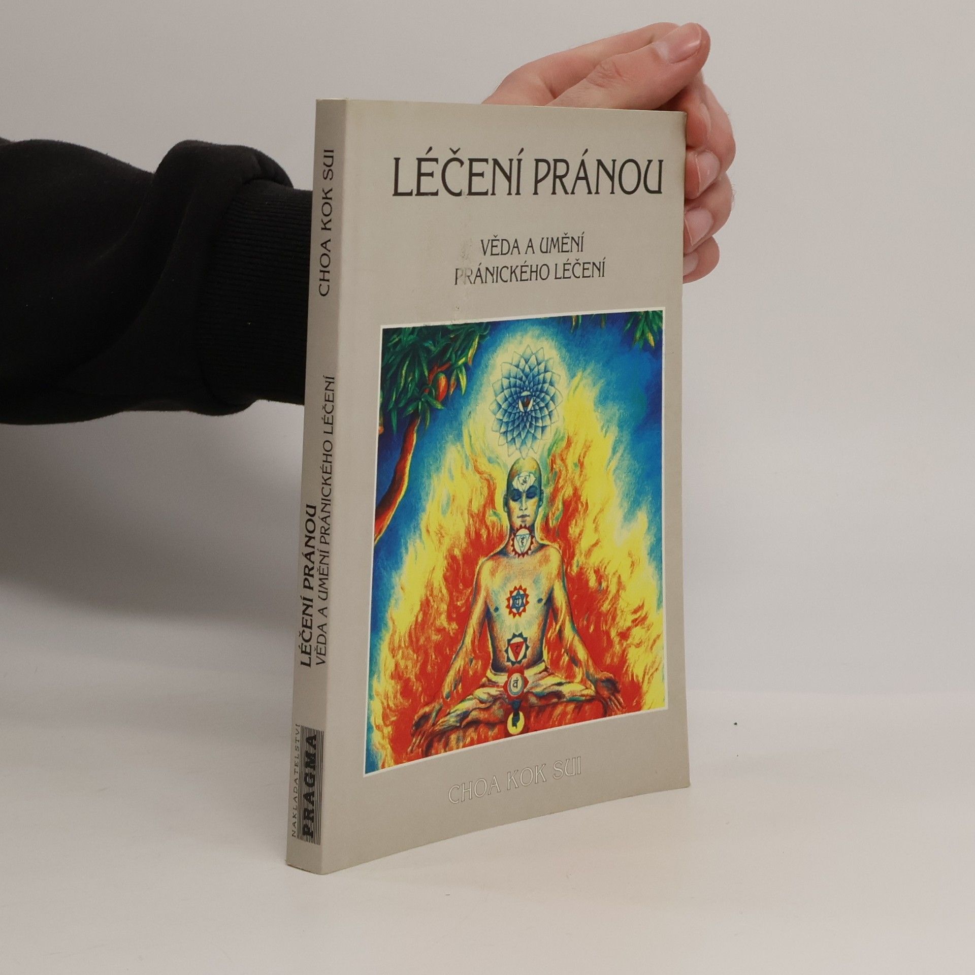 Ivan Prokeš Léčení pránou: Věda a umění pránického léčení