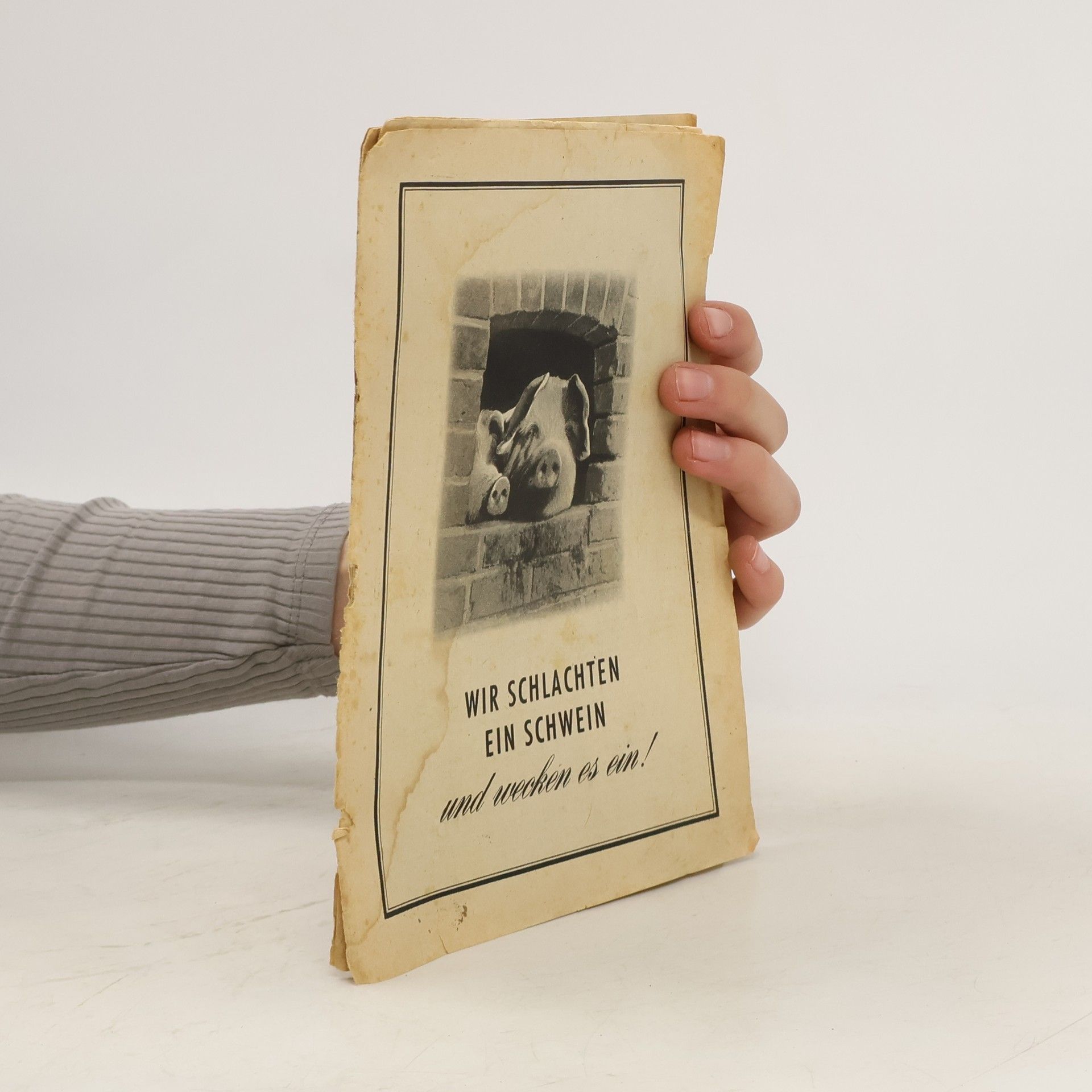 Various authors Wir schlachten ein Schwein und wecken es ein!