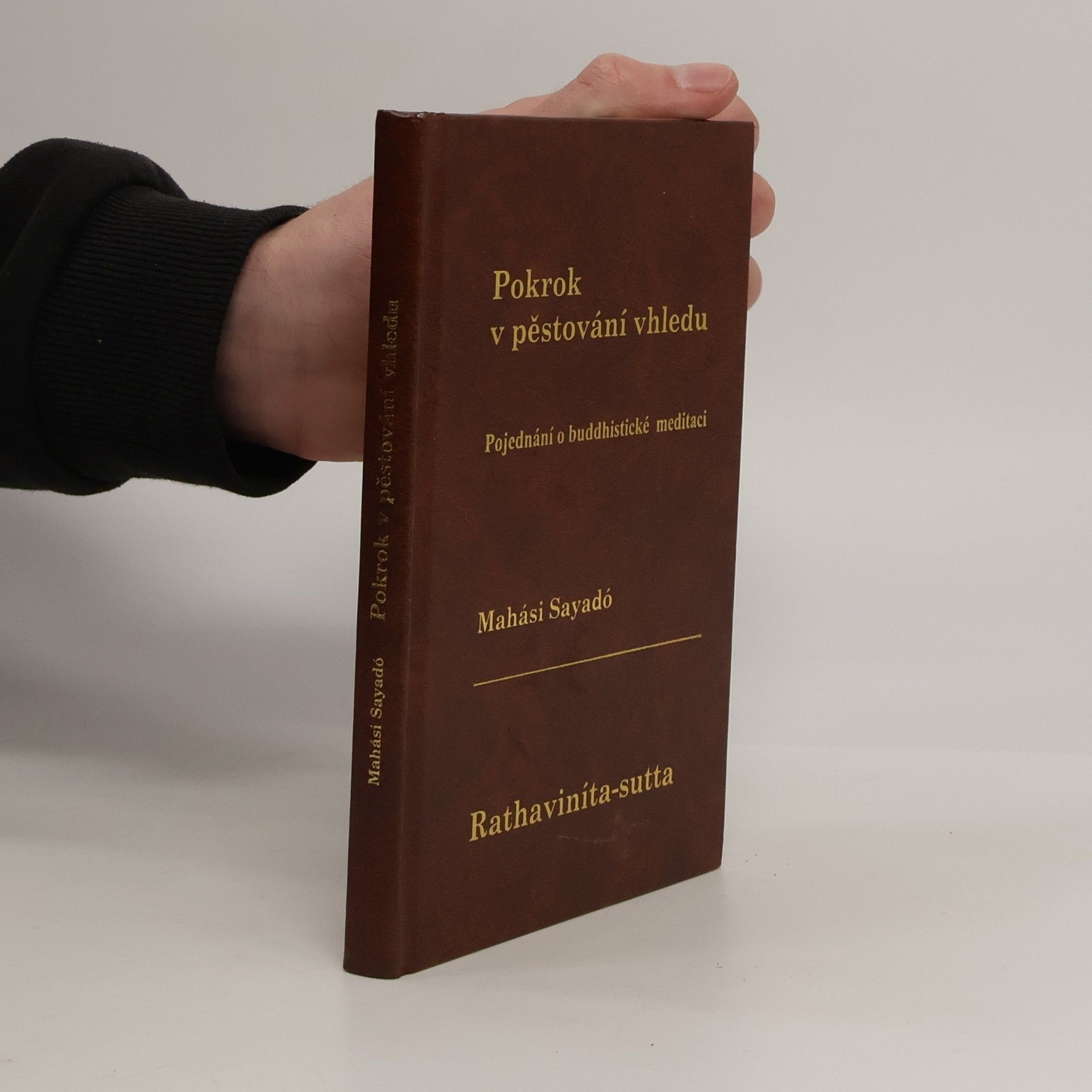 Mahási Sayadó Pokrok v pěstování vhledu. Moderní pojednání o buddhistické satipatthána meditaci