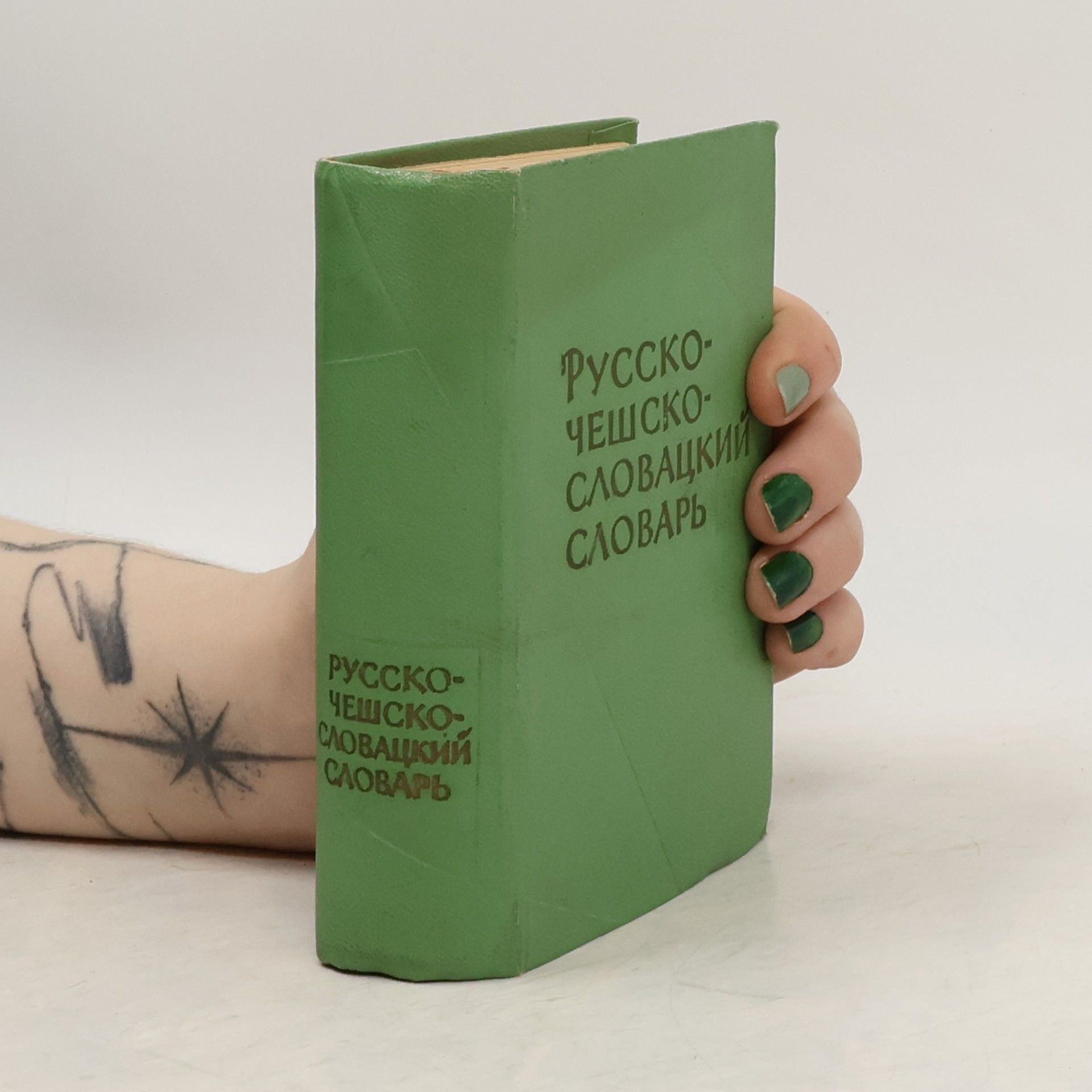 Naděžda Rudolfovna Buravceva Русско-Чешско-Словацкий Словарь