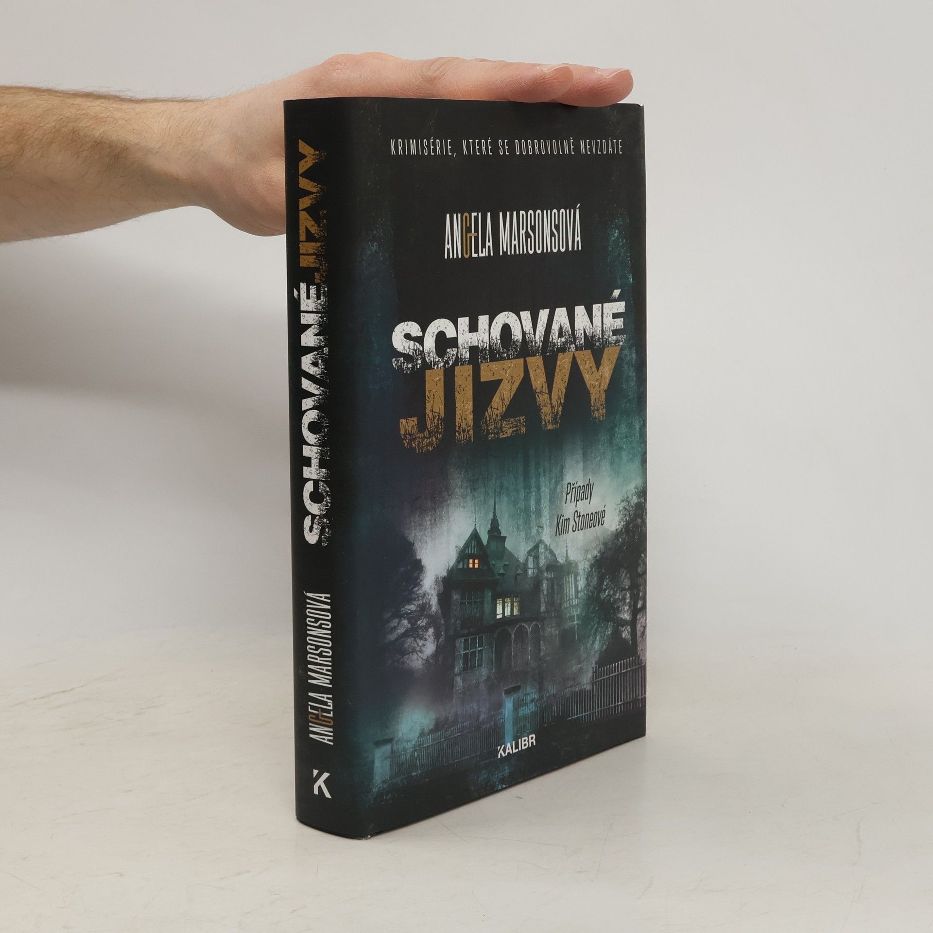 Angela Marsons Schované jizvy