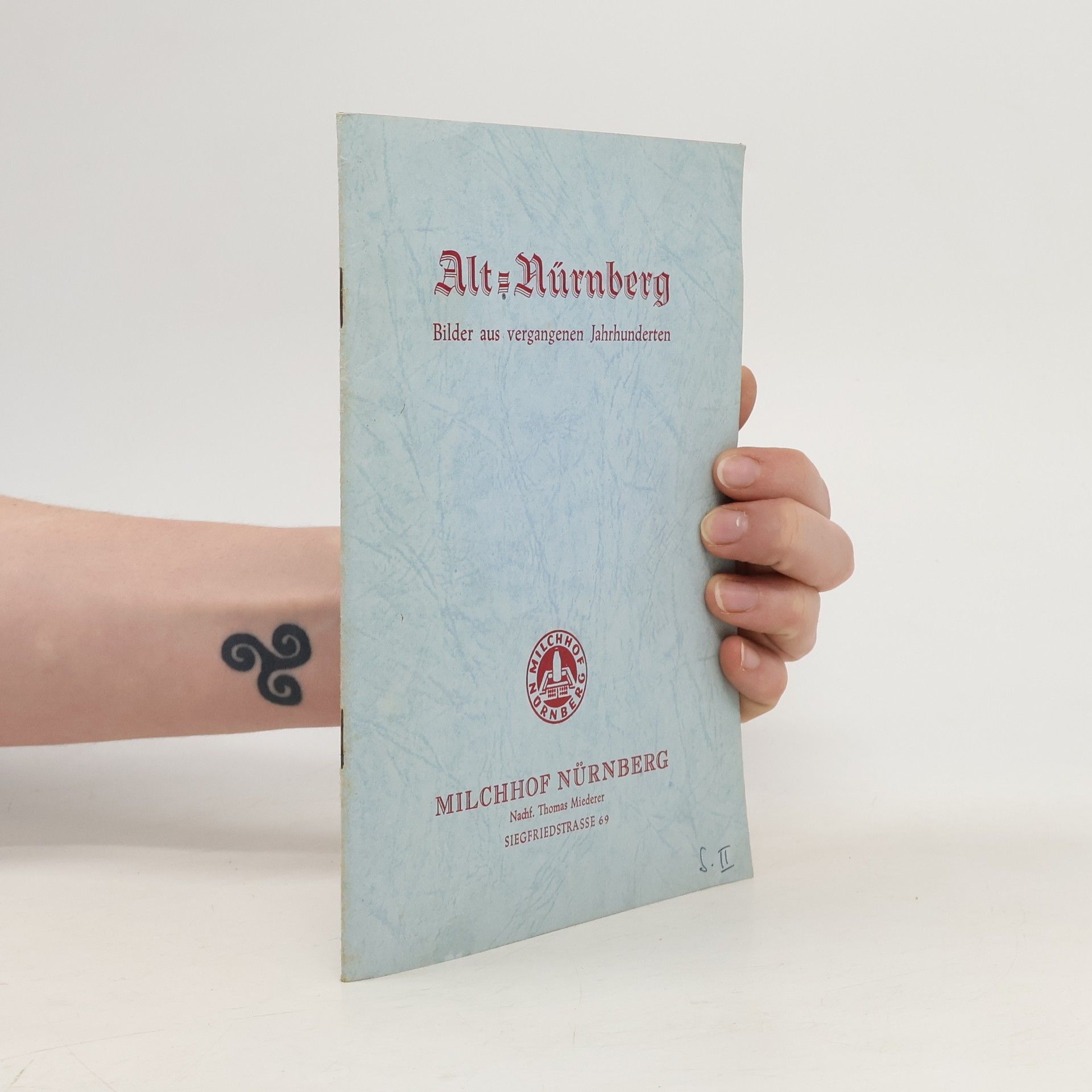 Kolektív autorov Alt Nürnberg