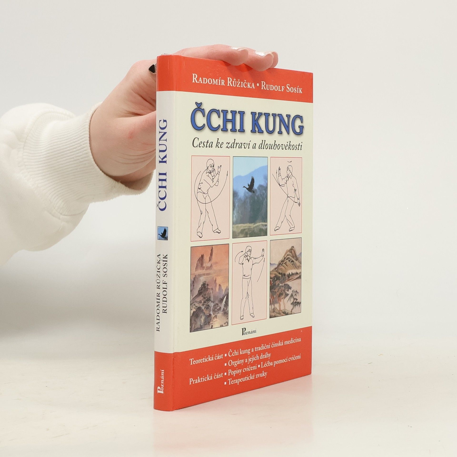 Radomír Růžička Čchi kung. Cesta ke zdraví a dlouhověkosti