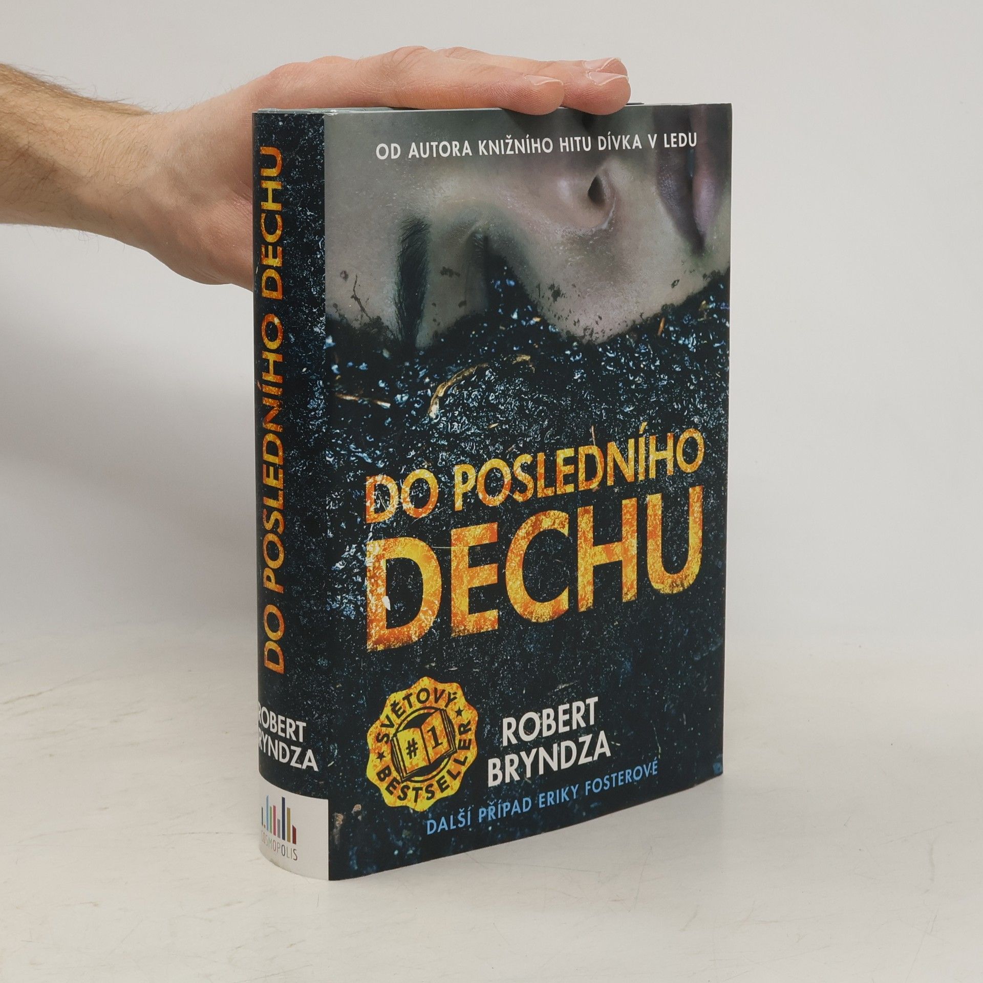 Robert Bryndza Do posledního dechu