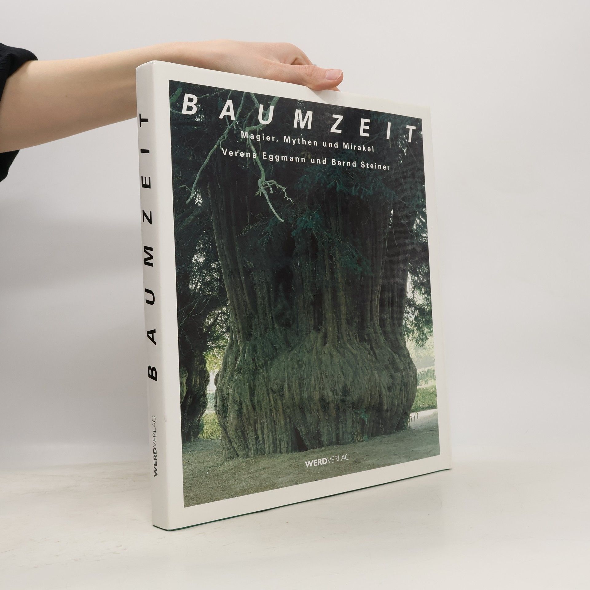 Verena Eggmann Baumzeit